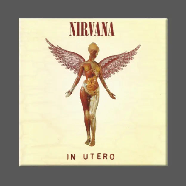NIRVANA - IN UTERO MAGNET