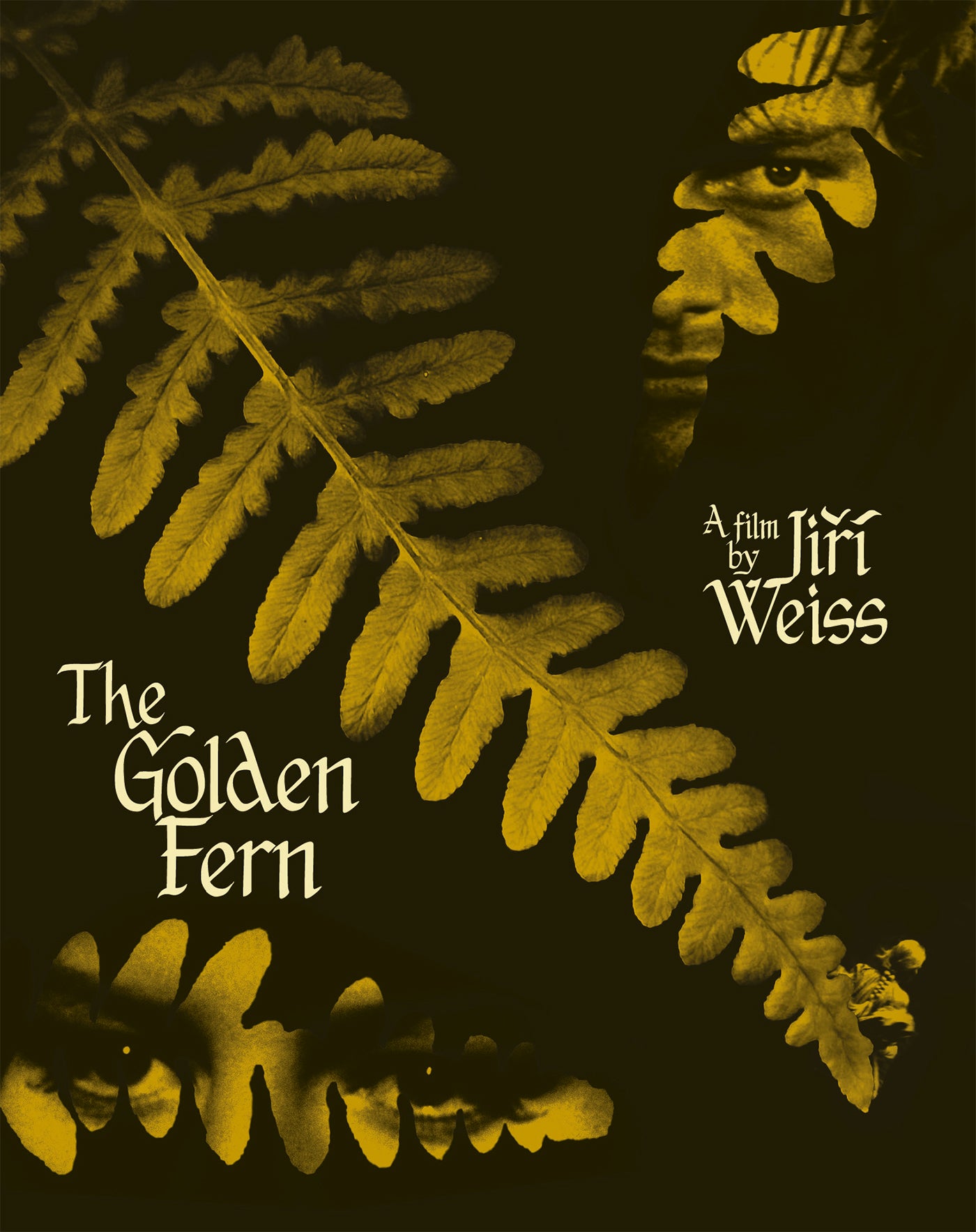 THE GOLDEN FERN BLU-RAY