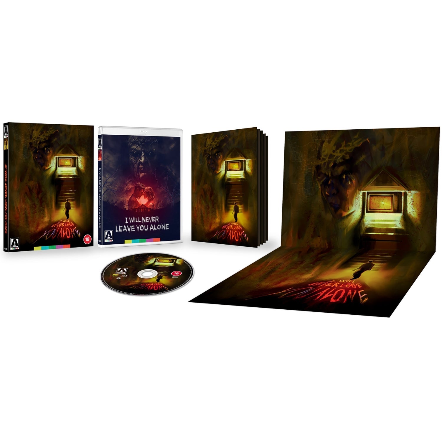 I WILL NEVER LEAVE YOU ALONE (REGION B IMPORT - LIMITED EDITION) BLU-RAY