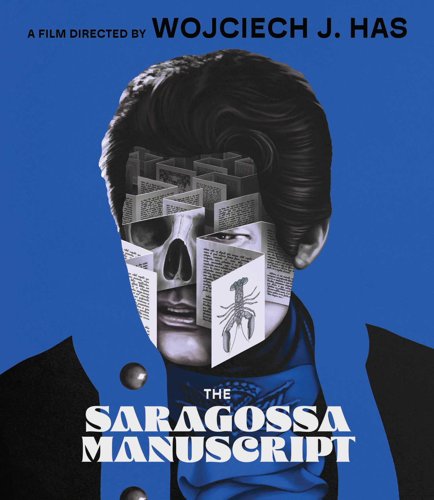 The Saragossa Manuscript 英語字幕 The Saragossa Manuscript | Rotten Tomatoes