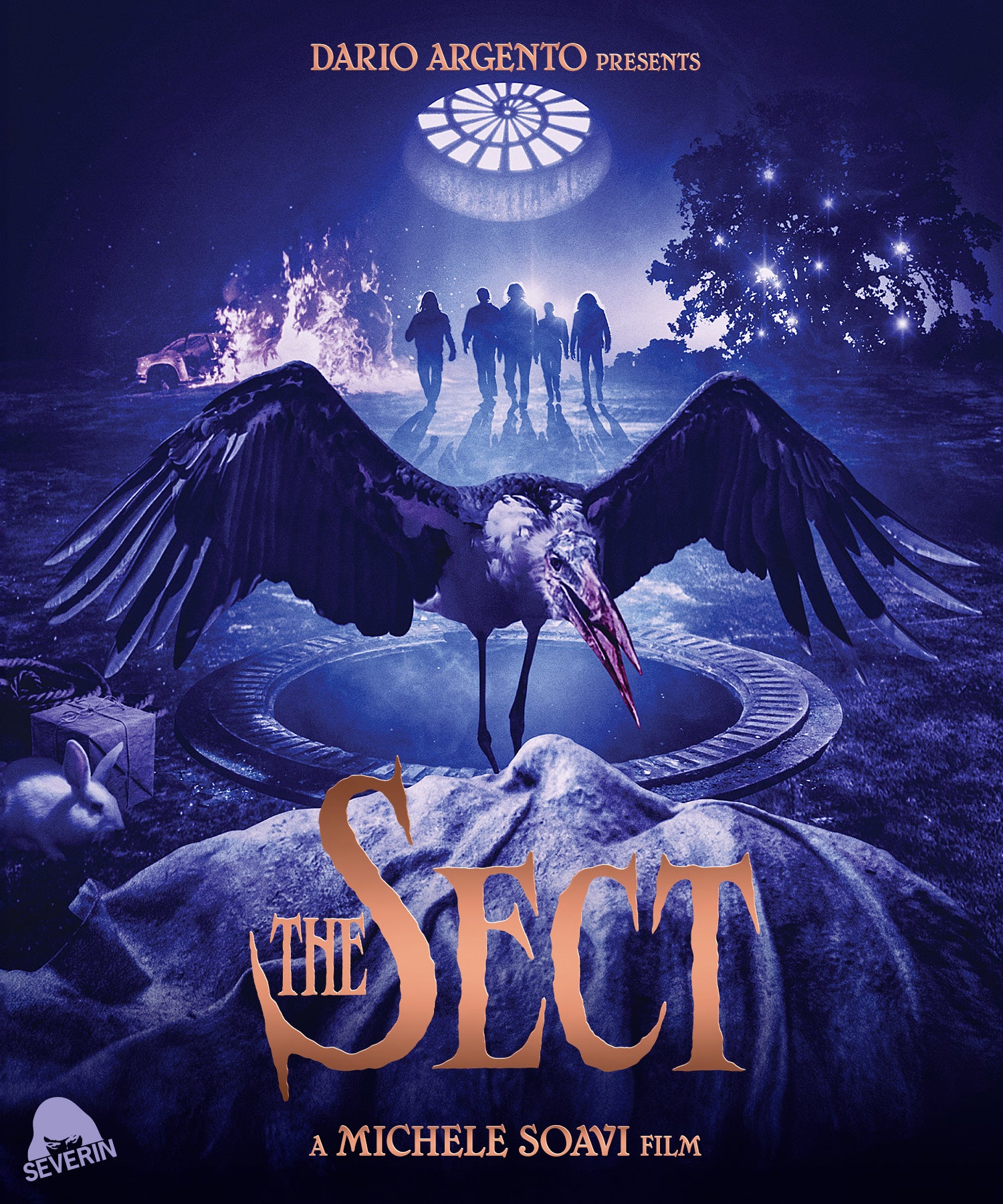 THE SECT BLU-RAY