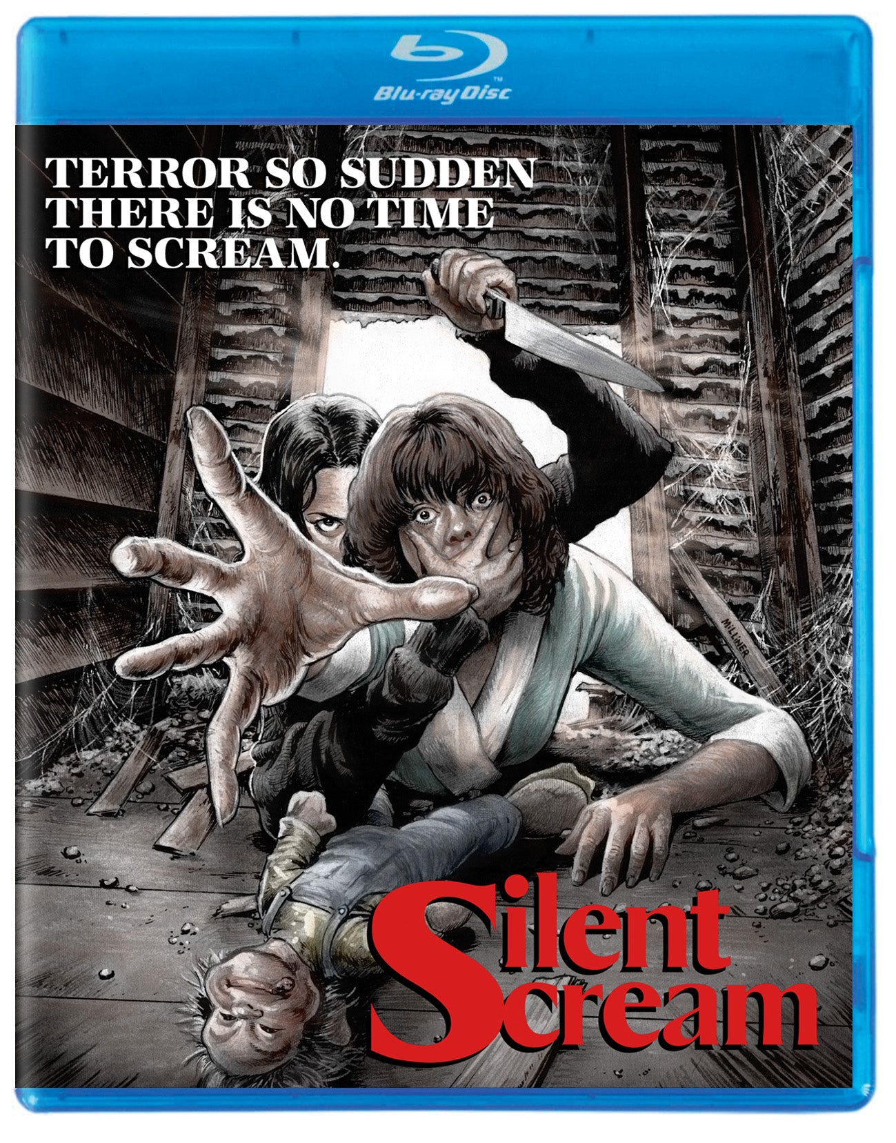 SILENT SCREAM BLU-RAY