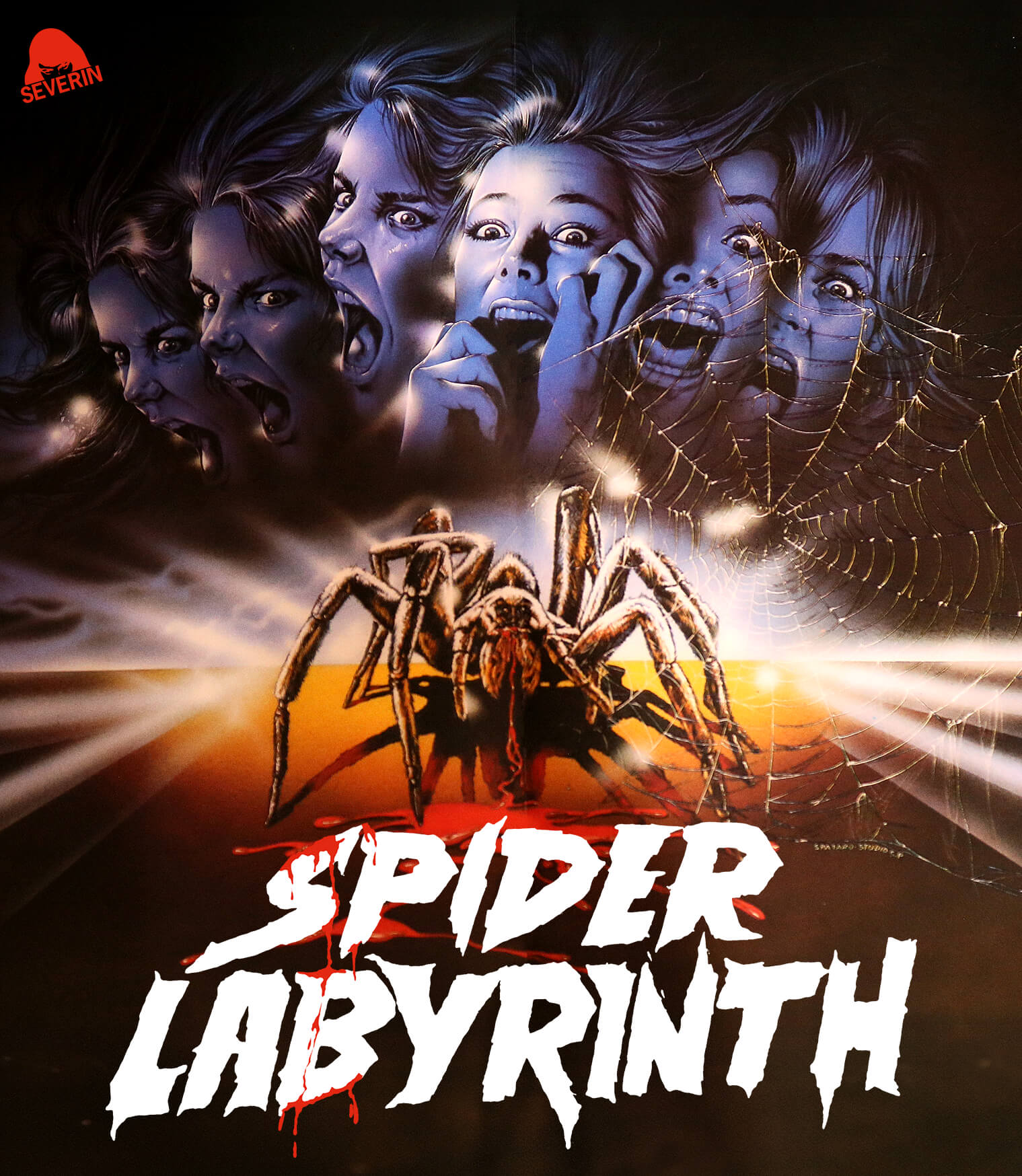 SPIDER LABYRINTH BLU-RAY