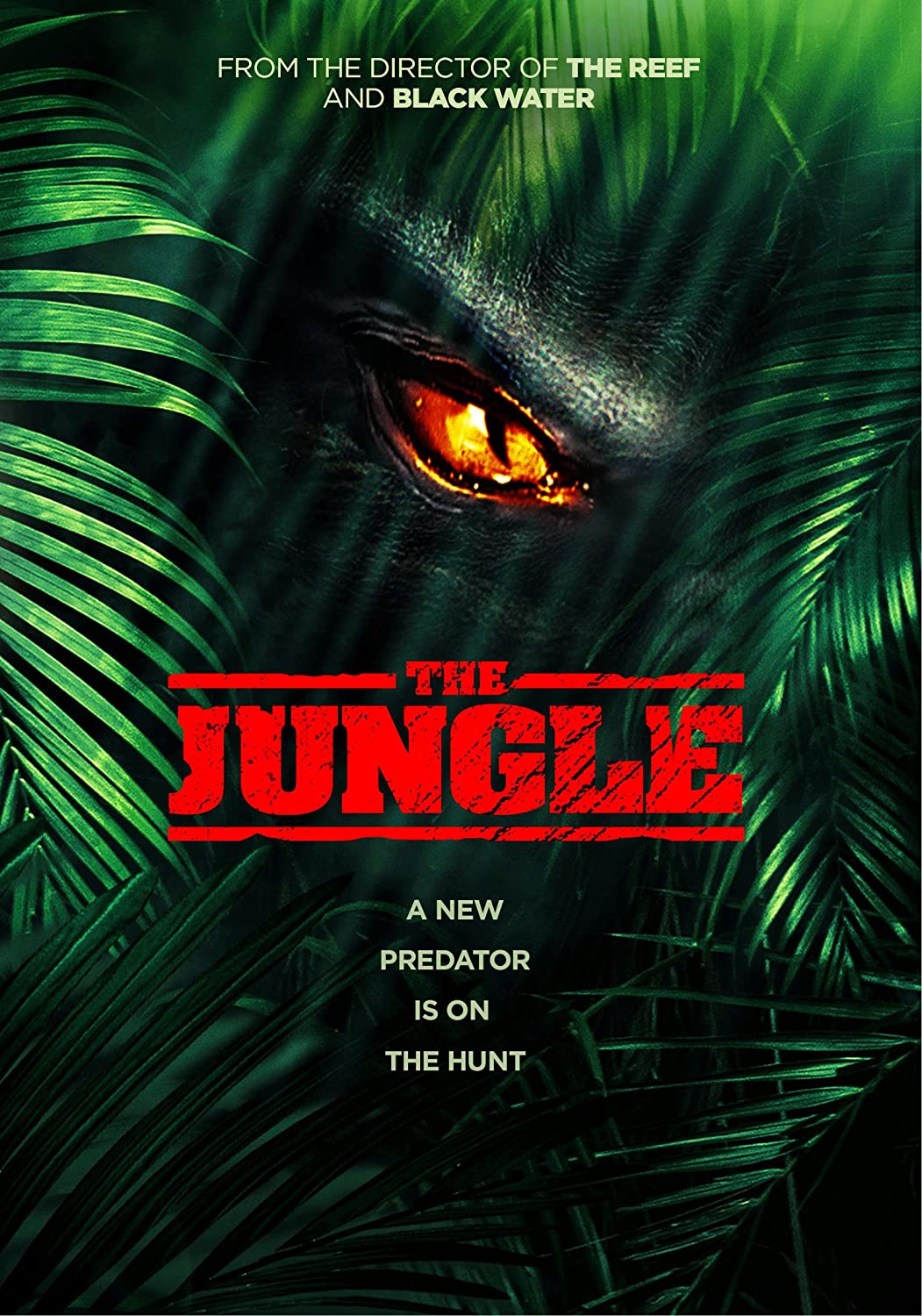 THE JUNGLE DVD