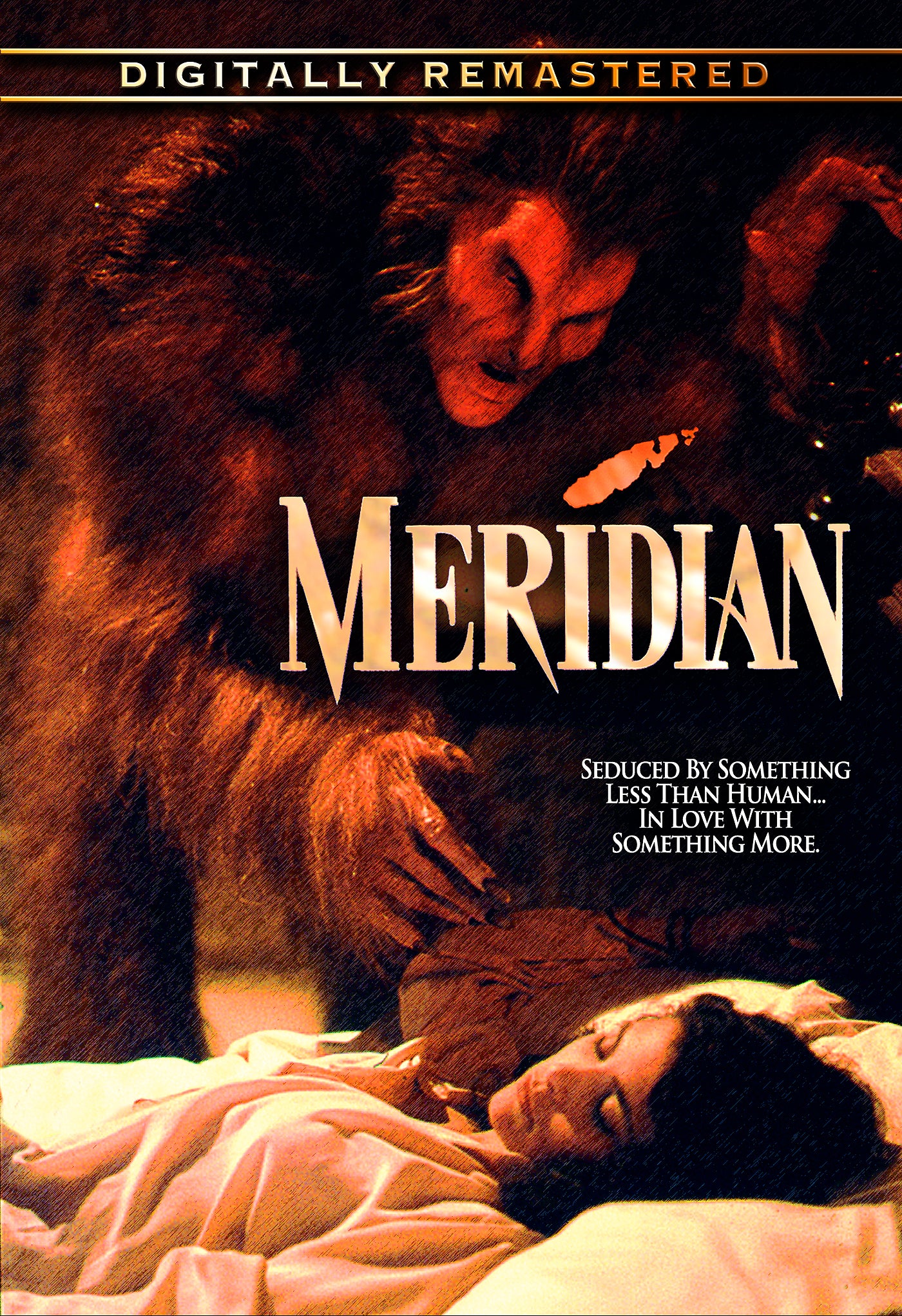 MERIDIAN DVD