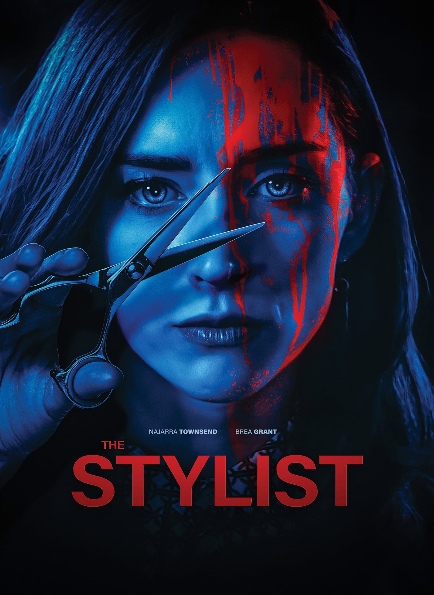 THE STYLIST DVD