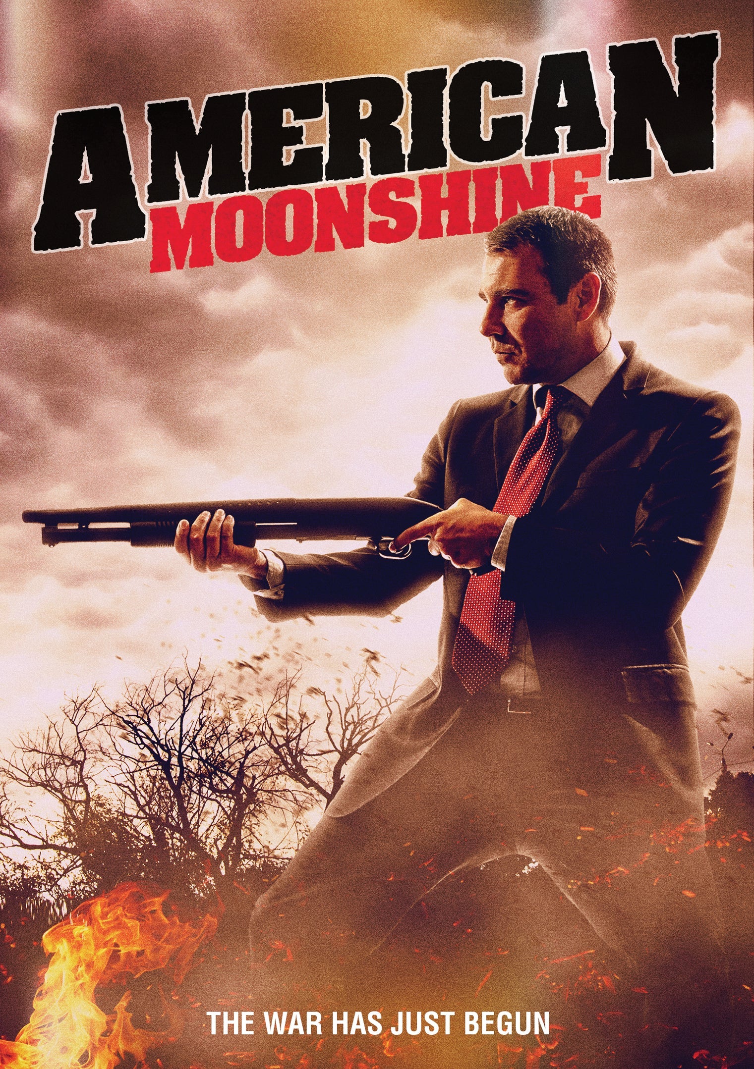 American Moonshine Dvd
