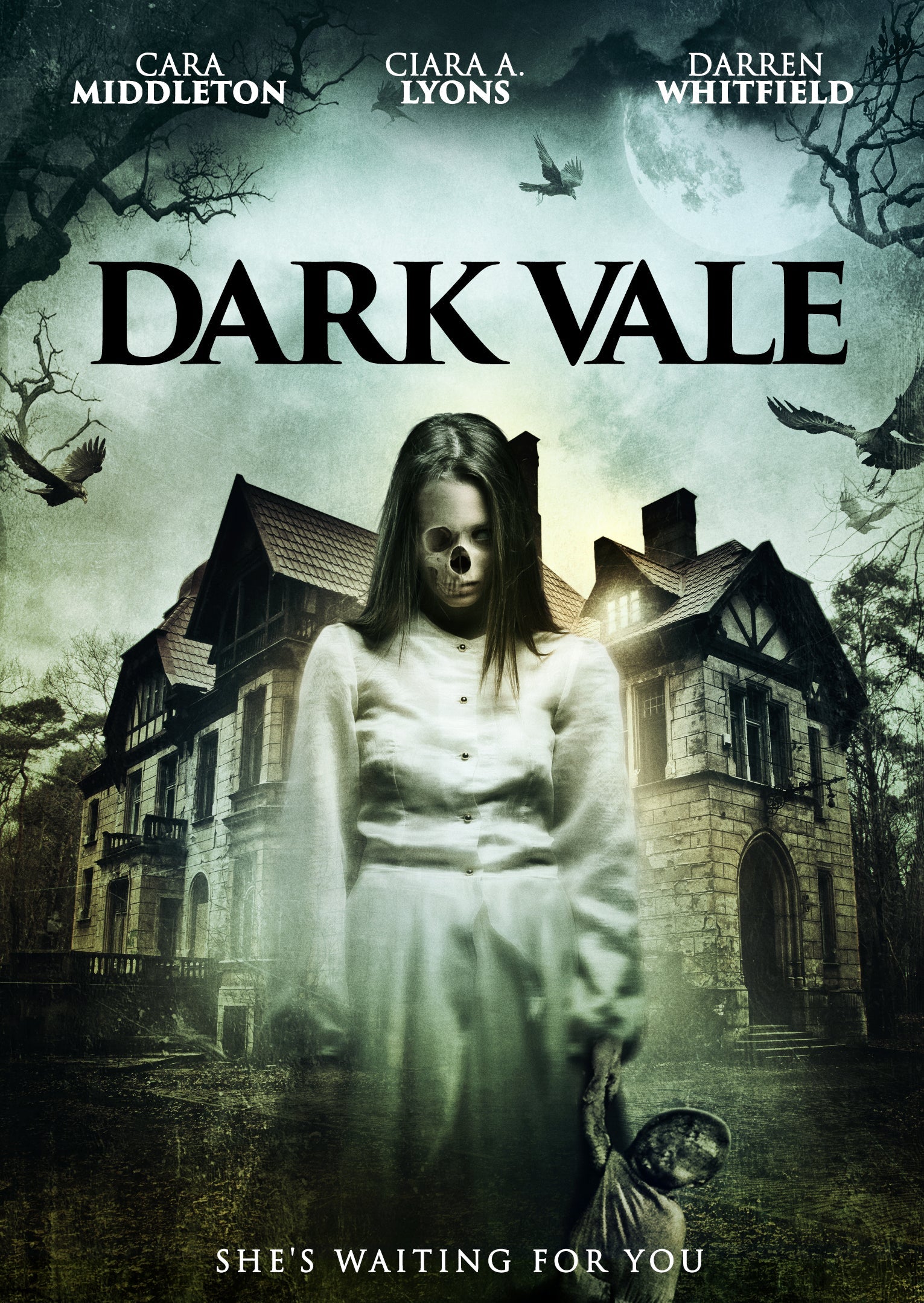 Dark Vale Dvd