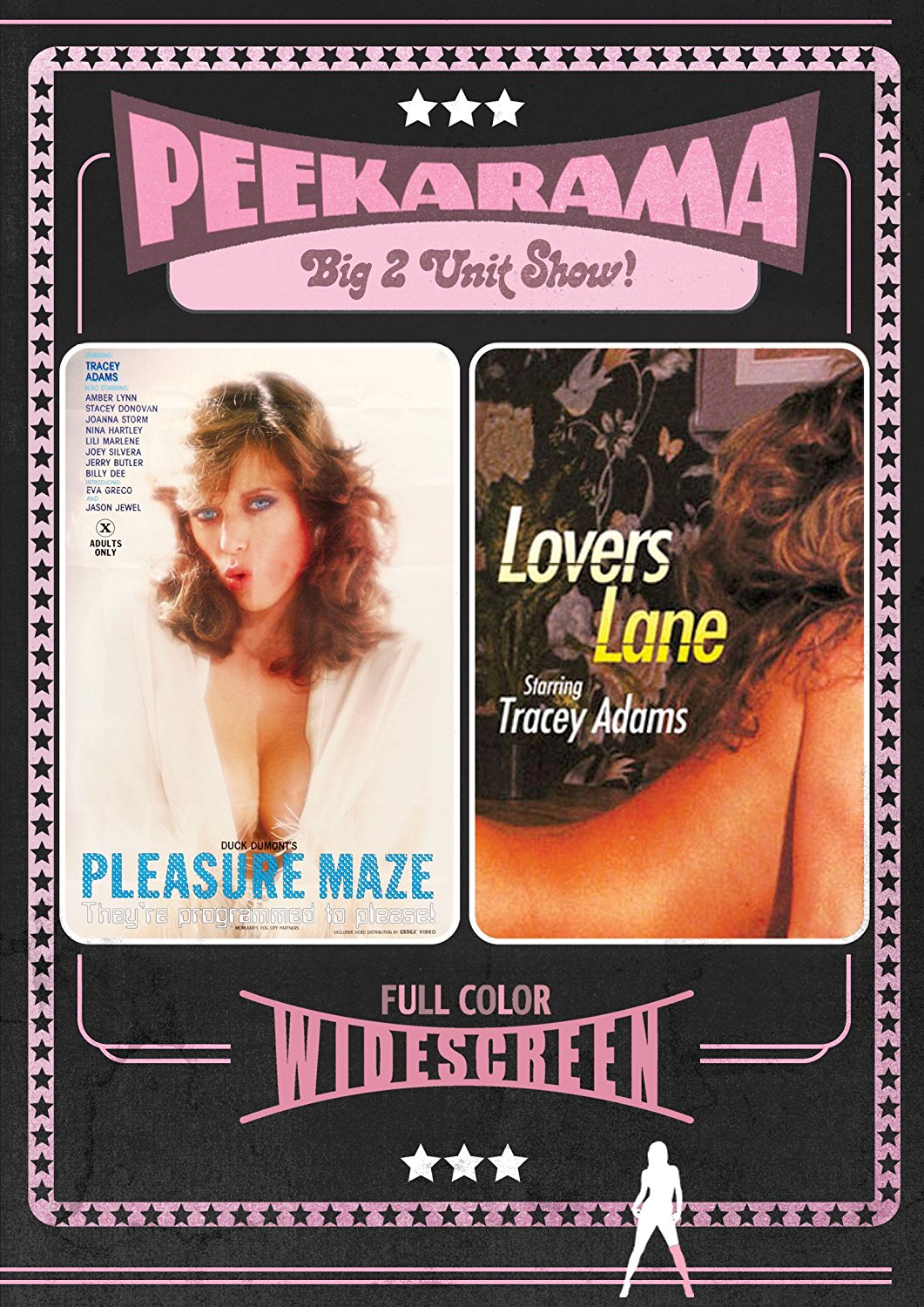 PLEASURE MAZE / LOVERS LANE DVD