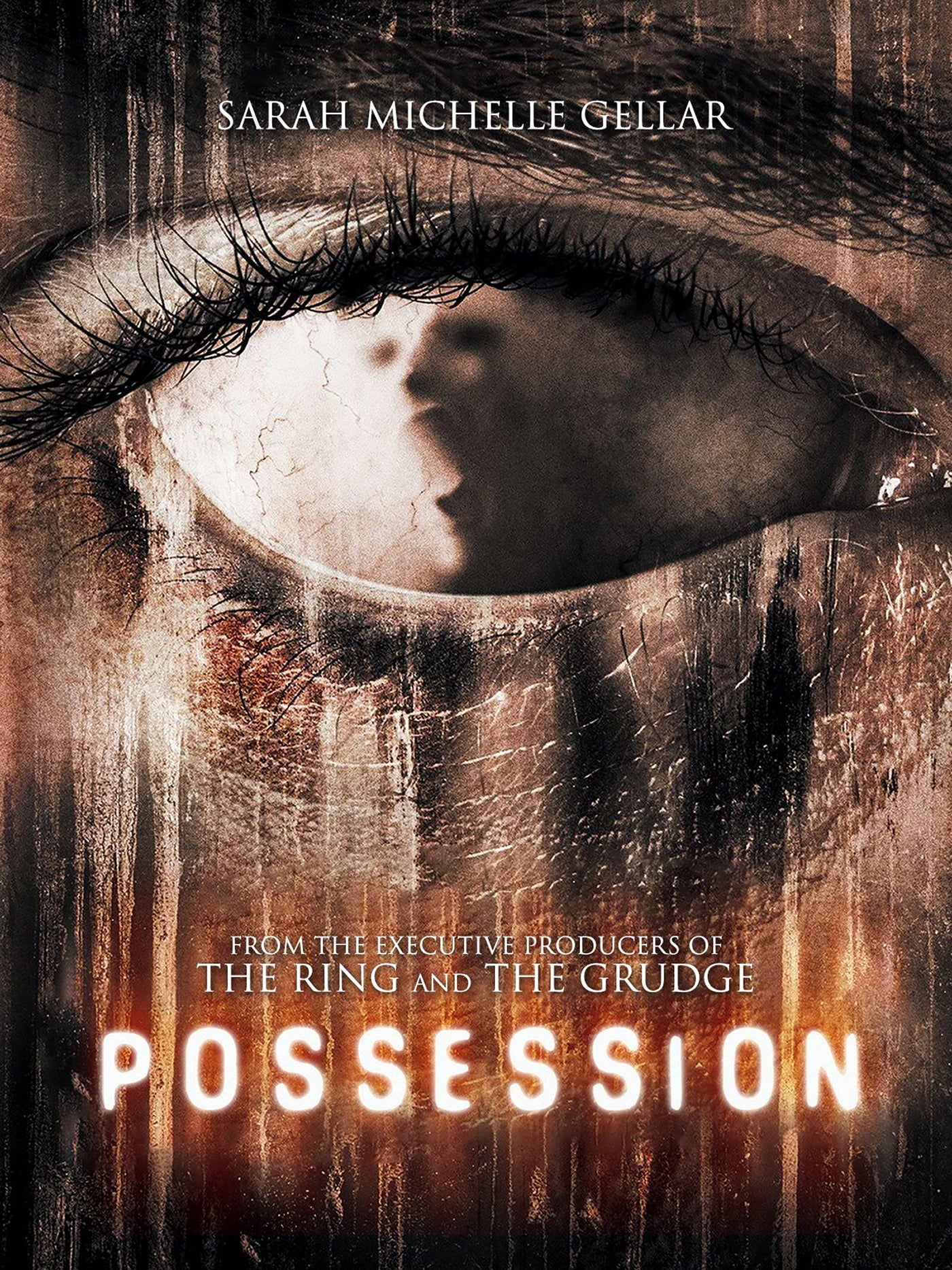 Possession (2008) Blu-Ray Blu-Ray