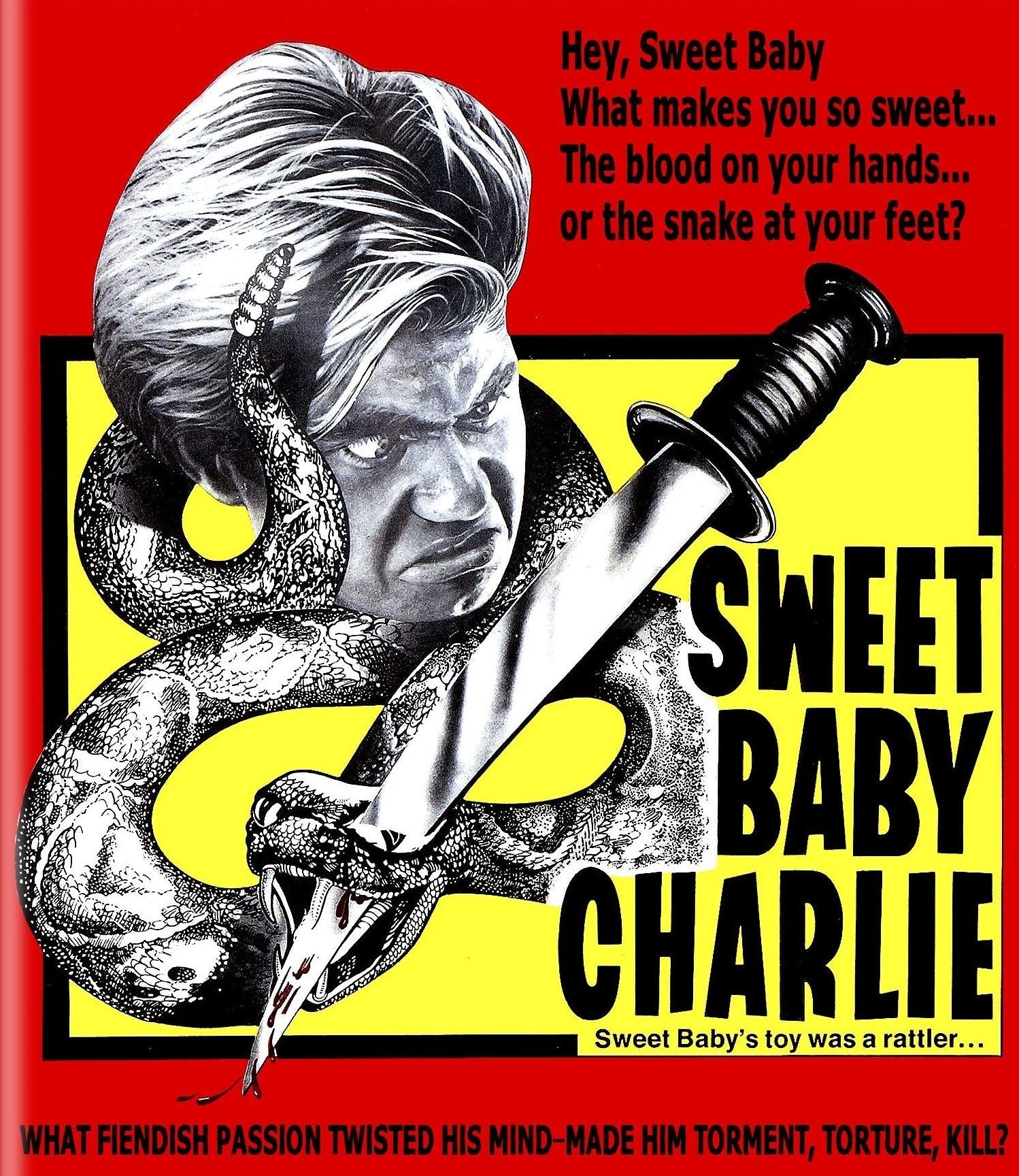 Sweet Baby Charlie Blu-Ray Blu-Ray