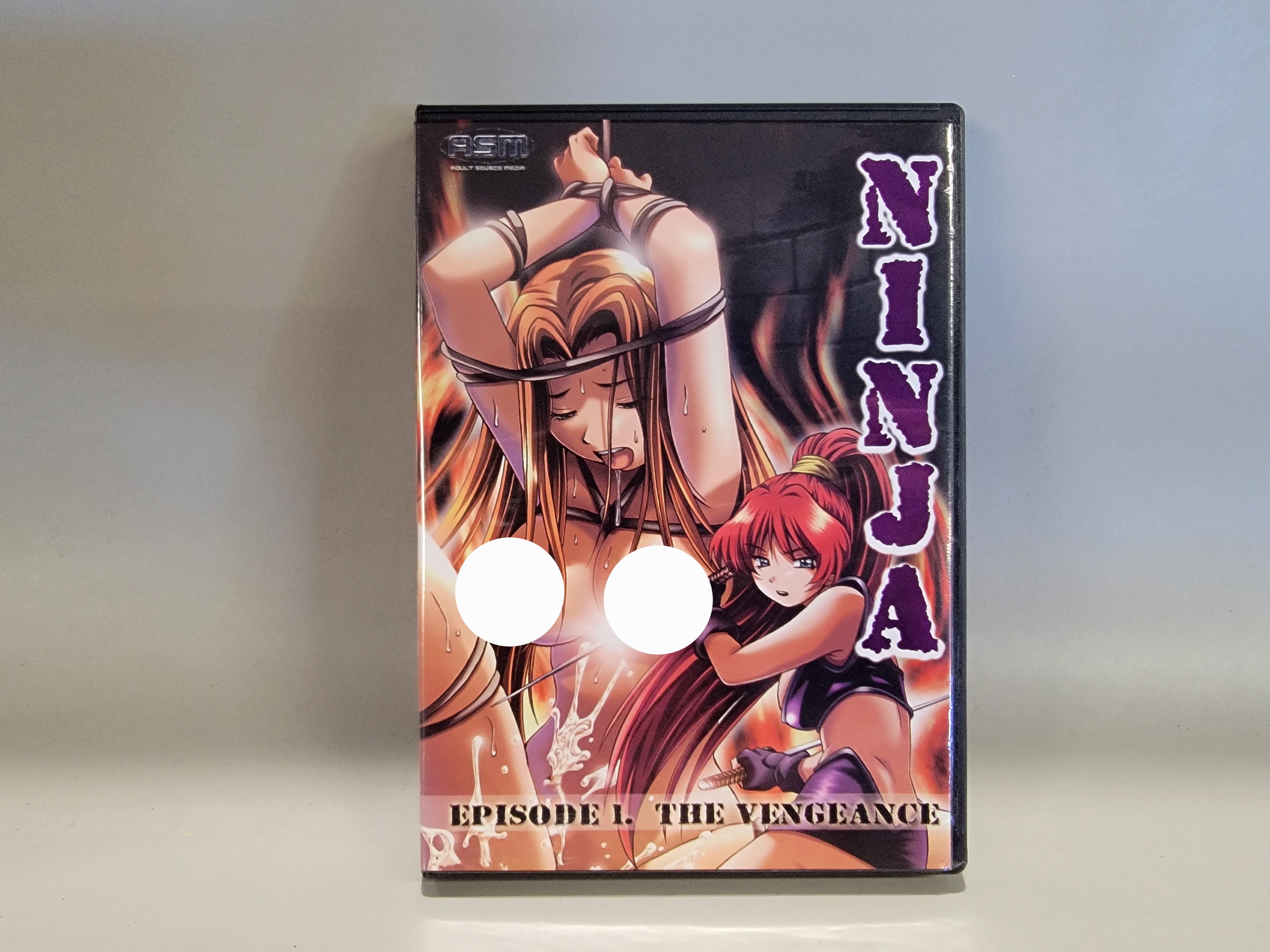 NINJA EPISODE 1: THE VENGEANCE DVD [USED]