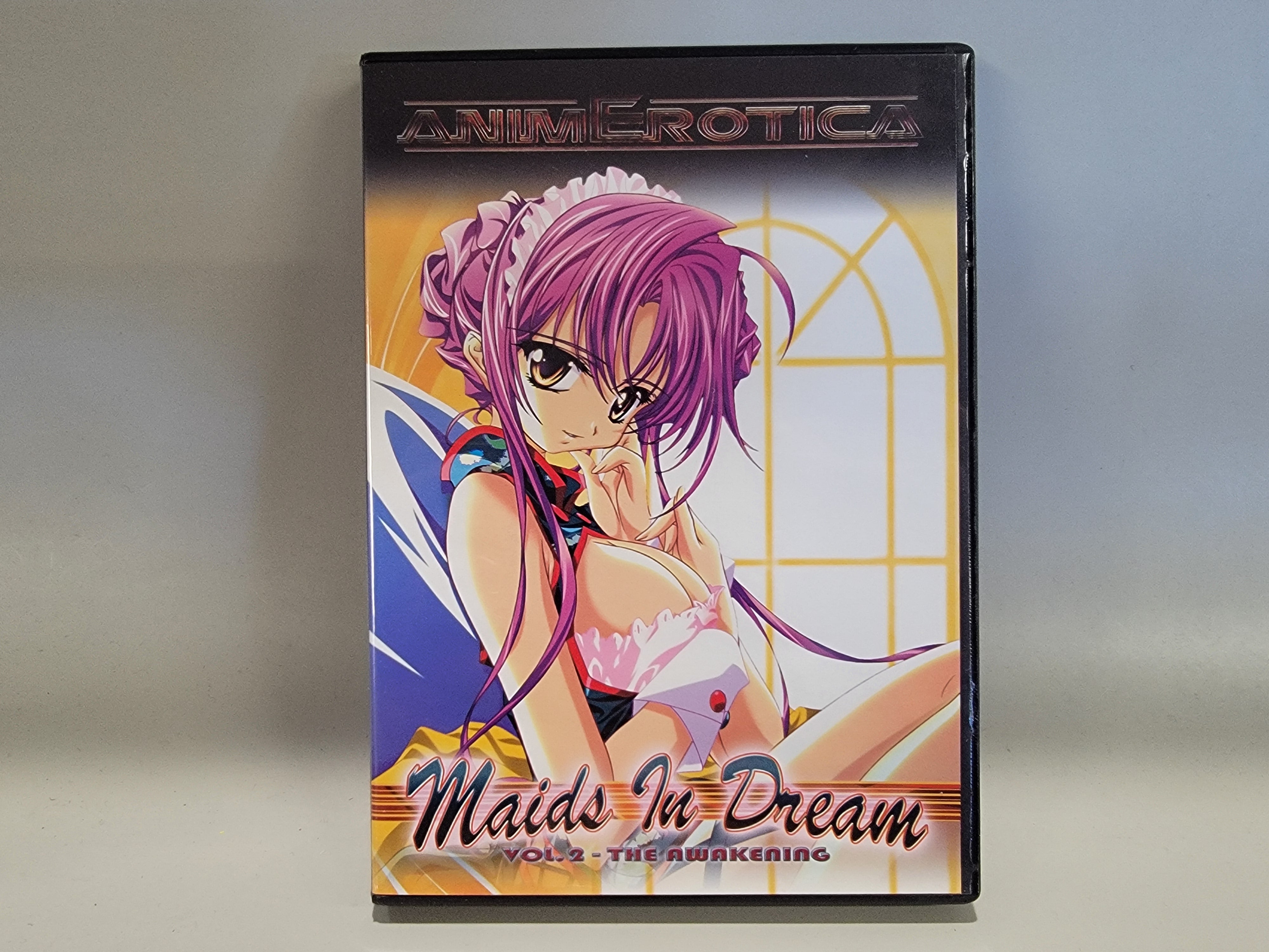 MAIDS IN DREAM VOLUME 2: THE AWAKENING DVD [USED]