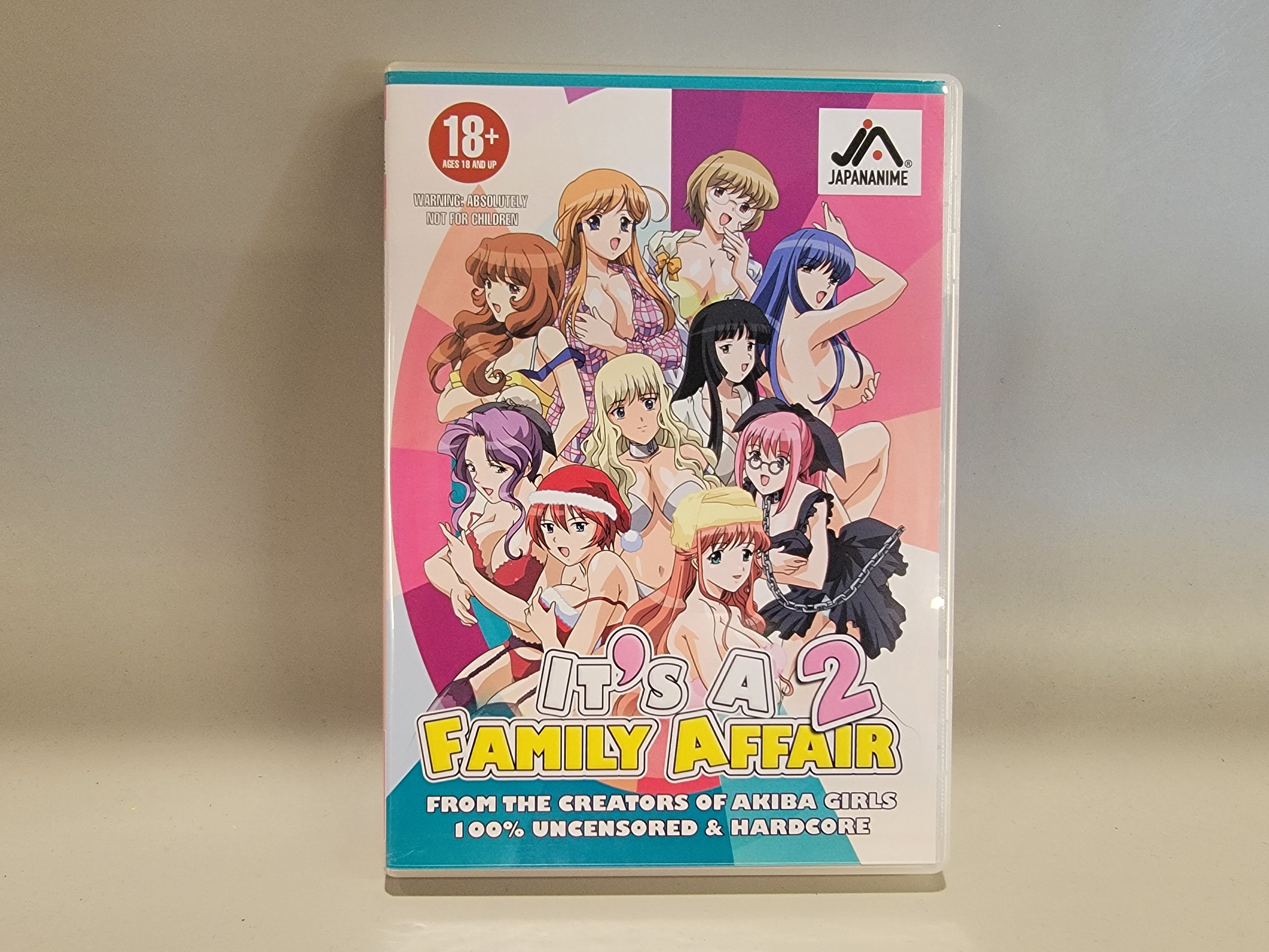 IT'S A FAMILY AFFAIR 2 DVD [USED]