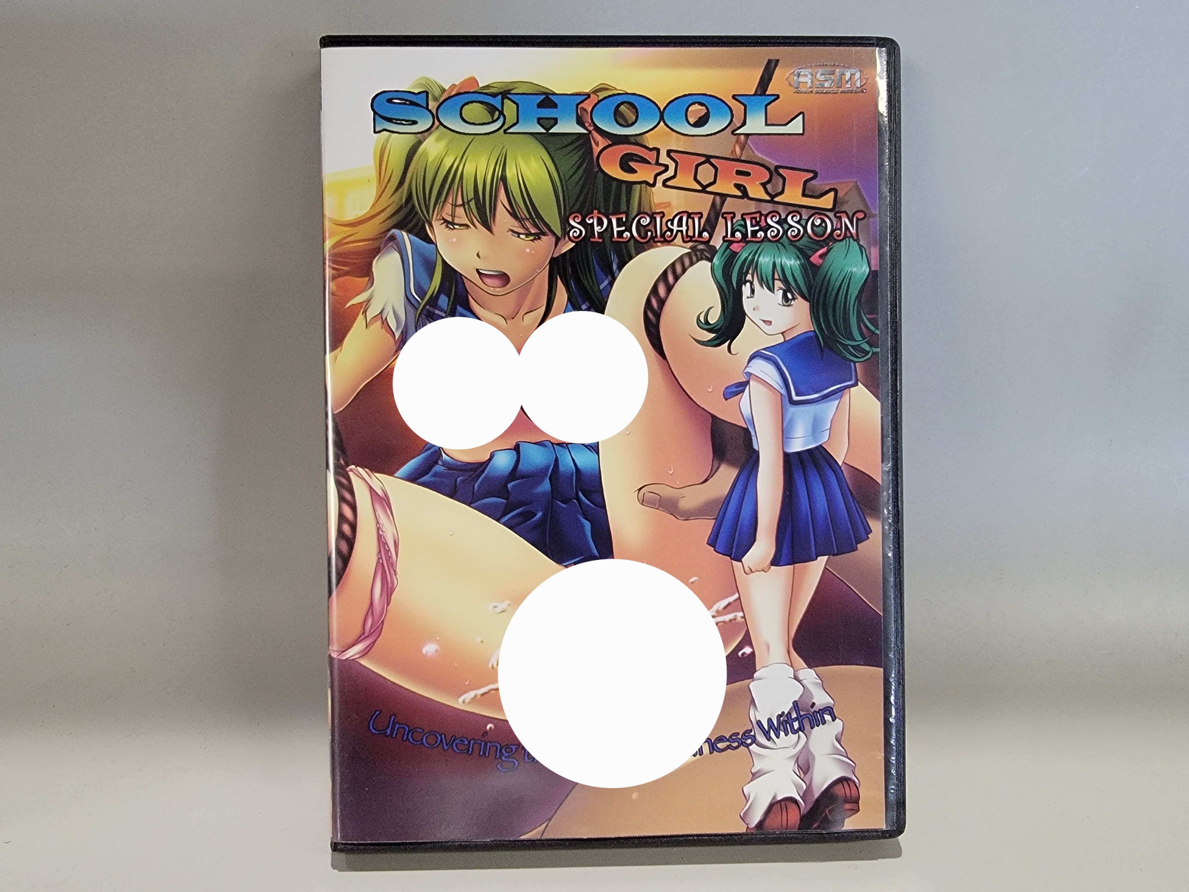 SCHOOL GIRL: SPECIAL LESSON DVD [USED]