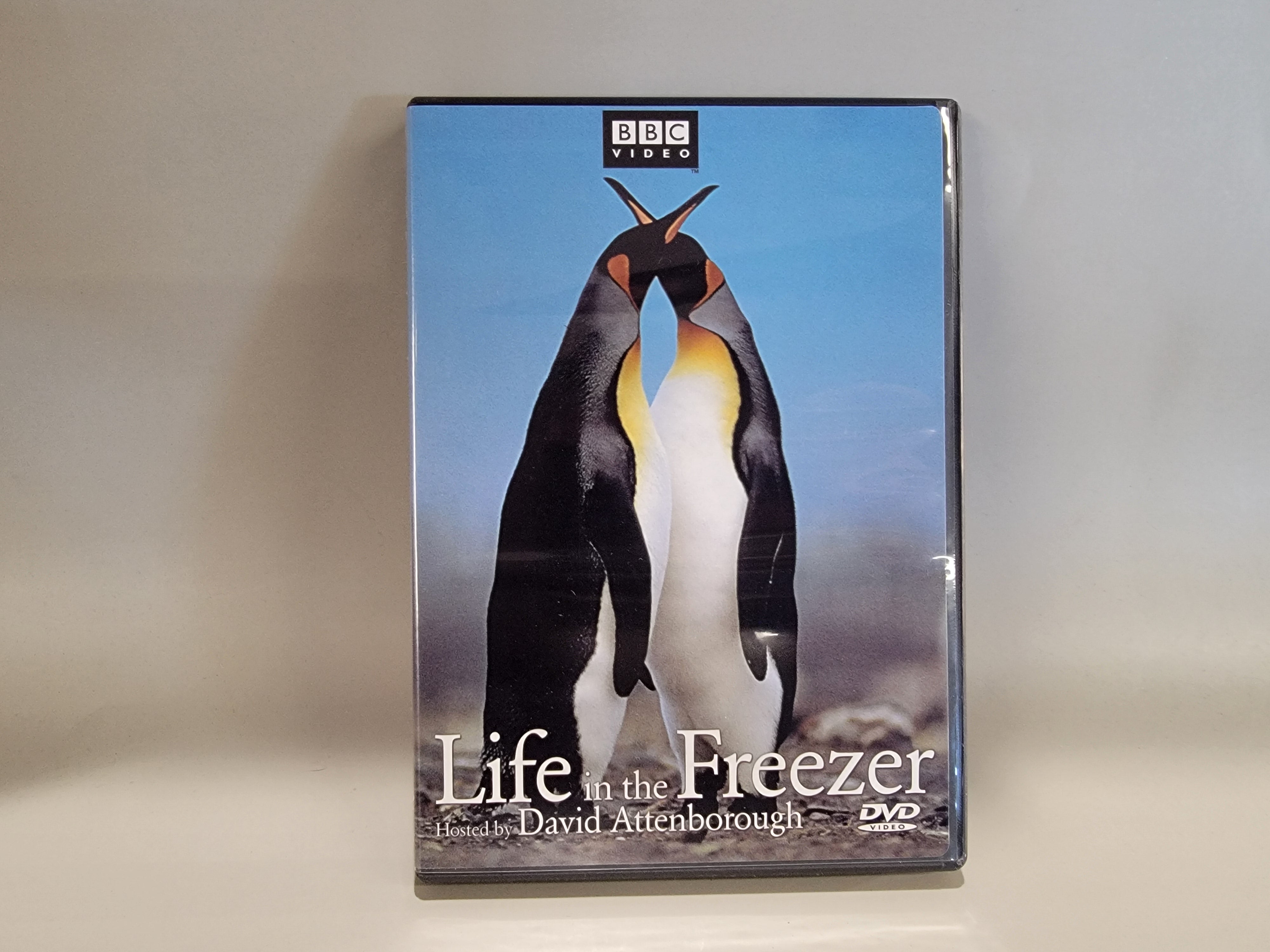 LIFE IN THE FREEZER DVD [USED]