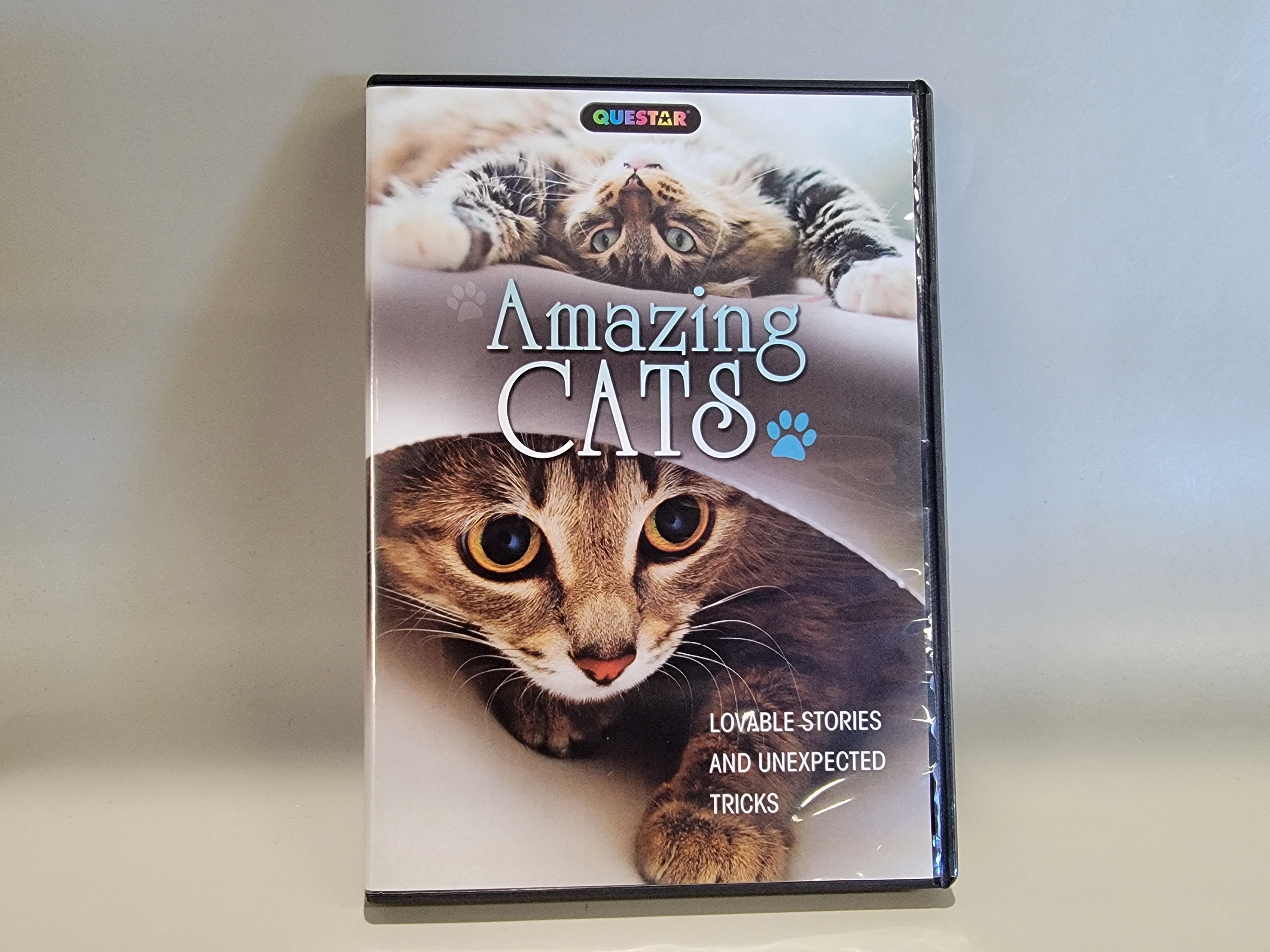 AMAZING CATS DVD [USED]