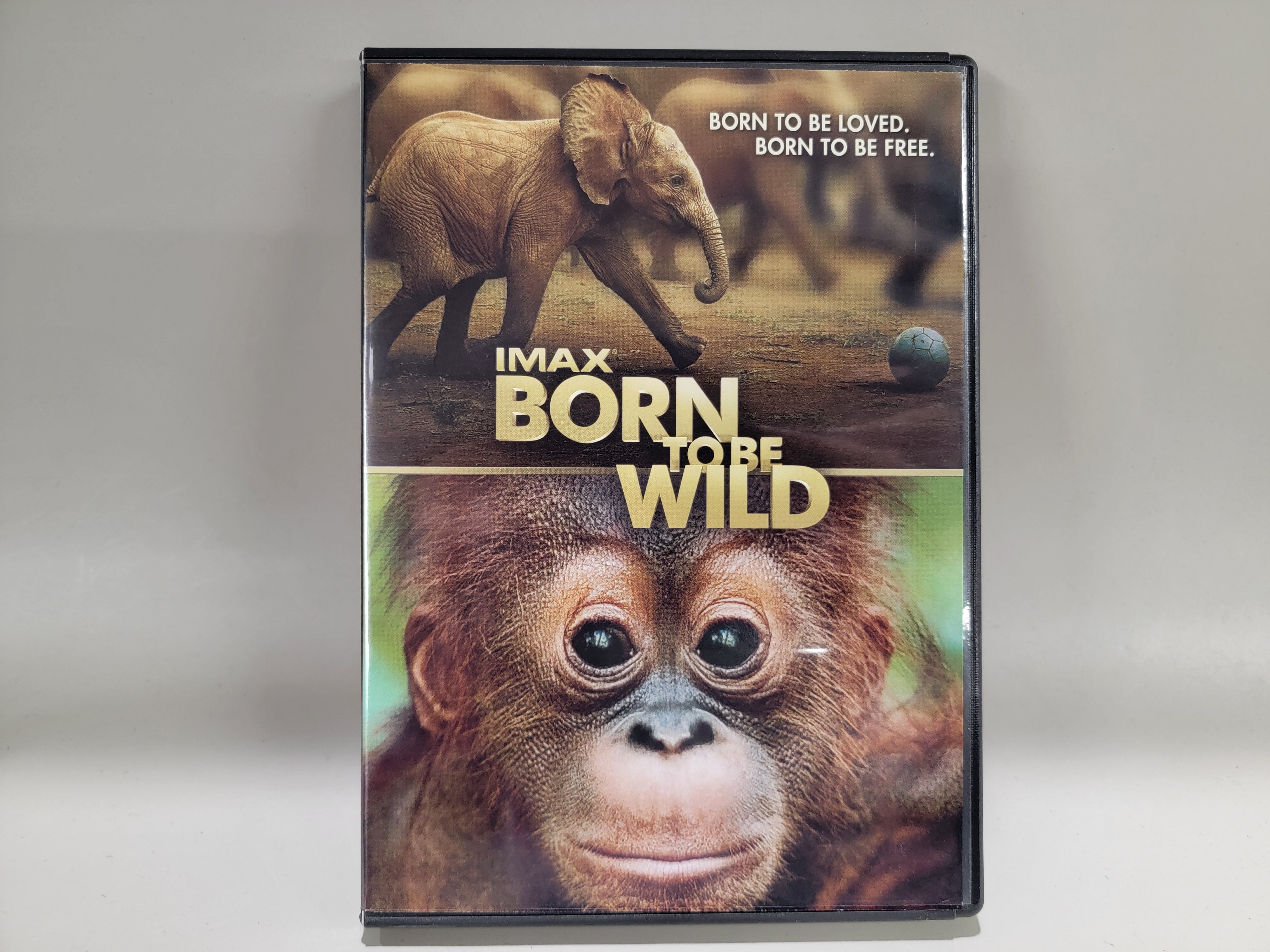 BORN TO BE WILD DVD [USED]