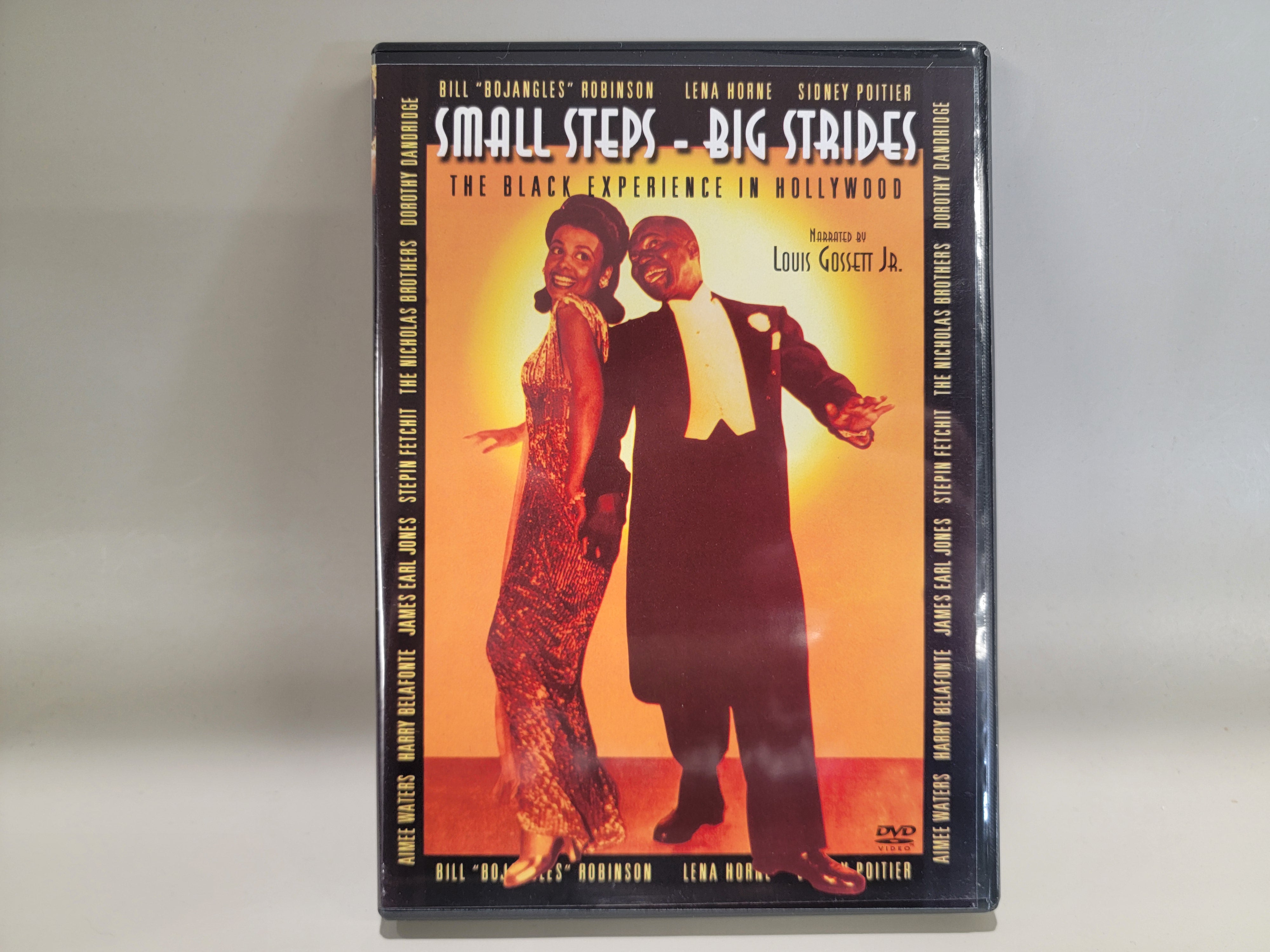 SMALL STEPS BIG STRIDES: THE BLACK EXPERIENCE IN HOLLYWOOD DVD [USED]