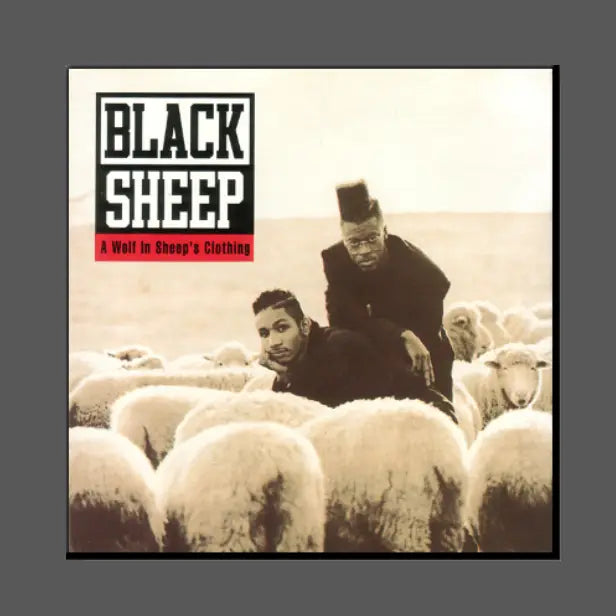 BLACK SHEEP - A WOLF IN SHEEP'S CLOTHING MAGNET