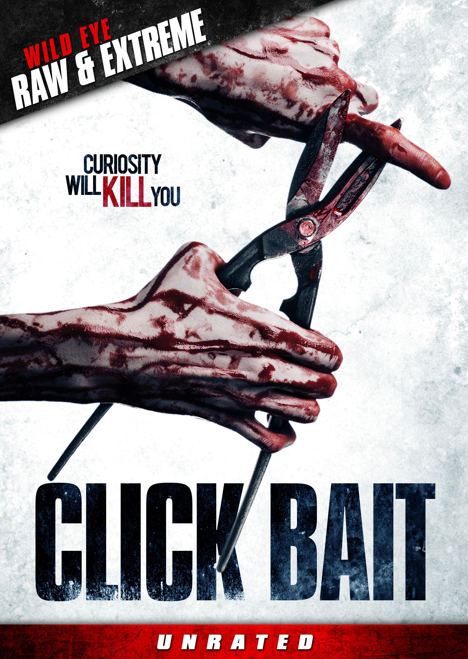 CLICK BAIT DVD