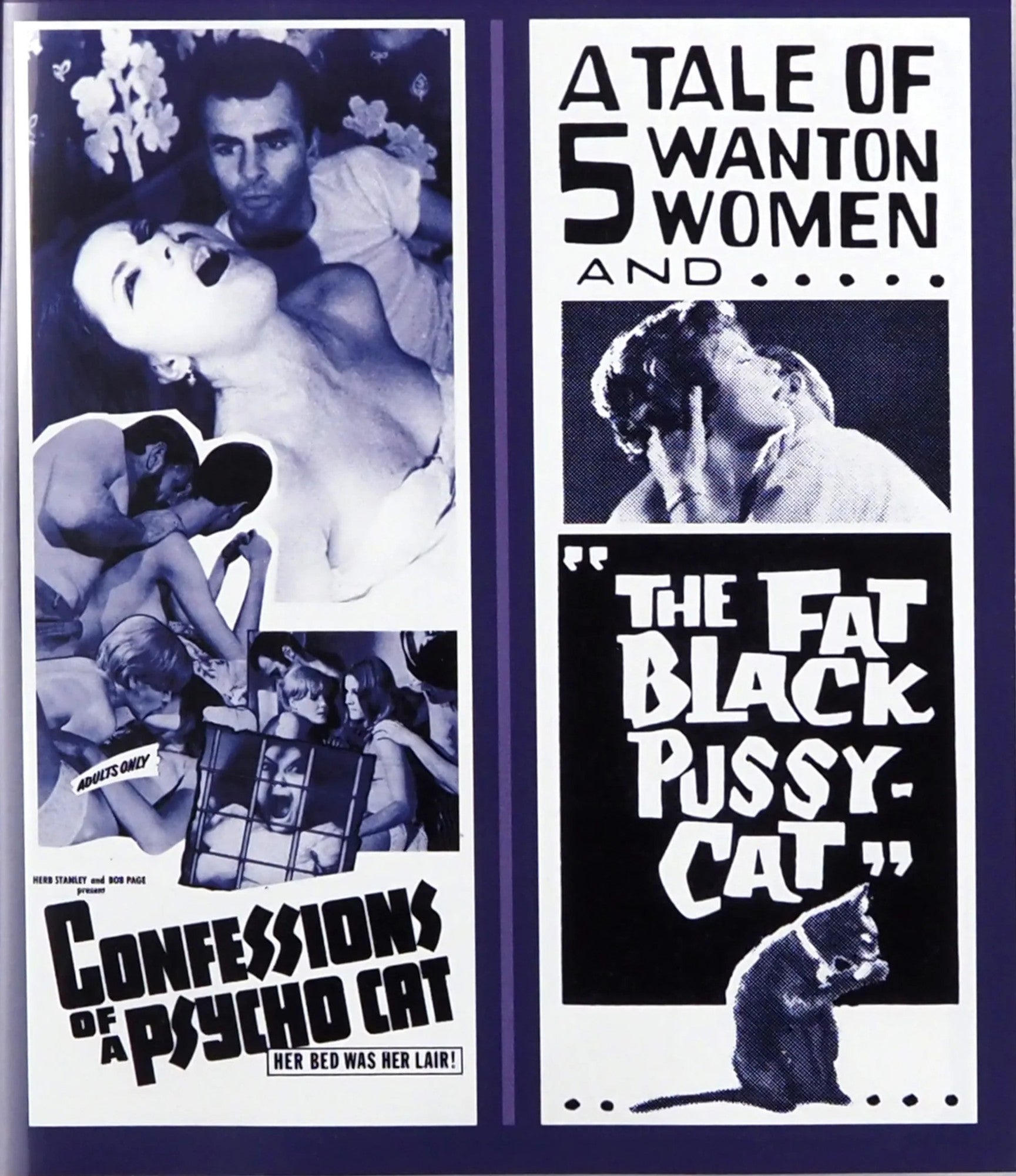 CONFESSIONS OF A PSYCHO CAT / THE FAT BLACK PUSSYCAT BLU-RAY [PRE-ORDER]