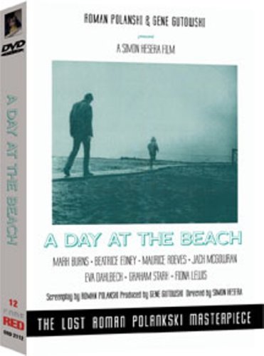 A DAY AT THE BEACH DVD