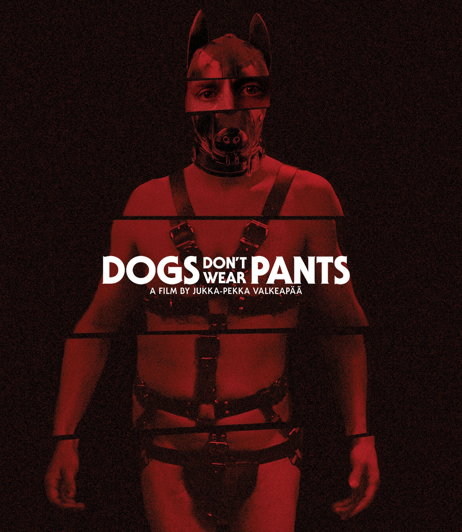 DOGS DON'T WEAR PANTS (LIMITED EDITION) BLU-RAY