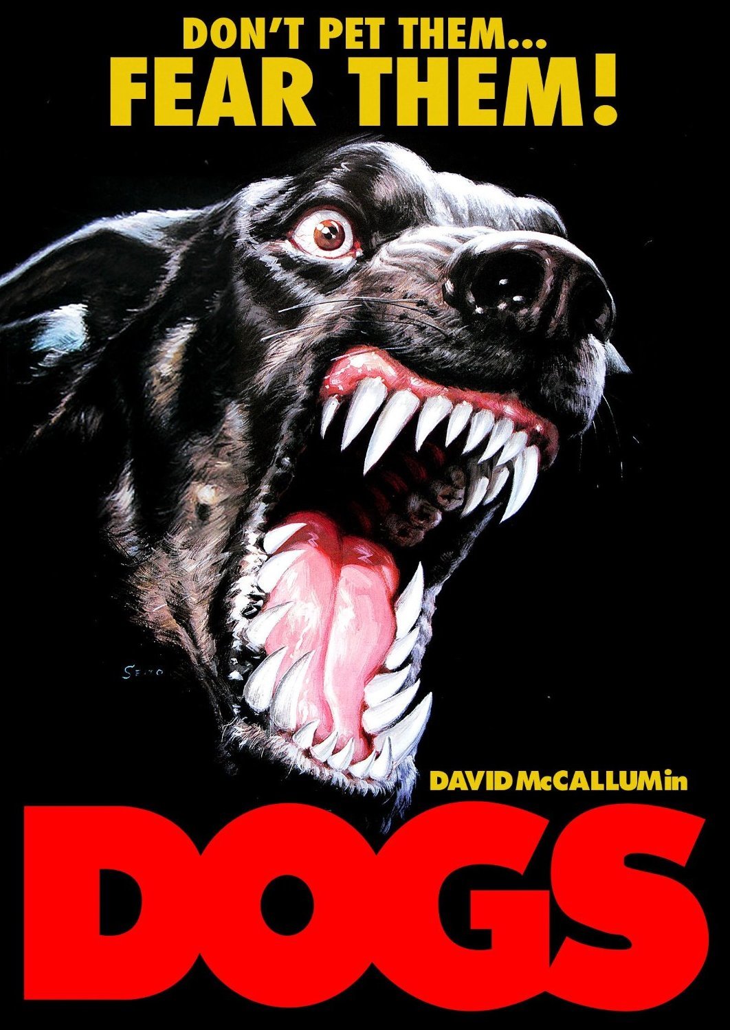 DOGS DVD