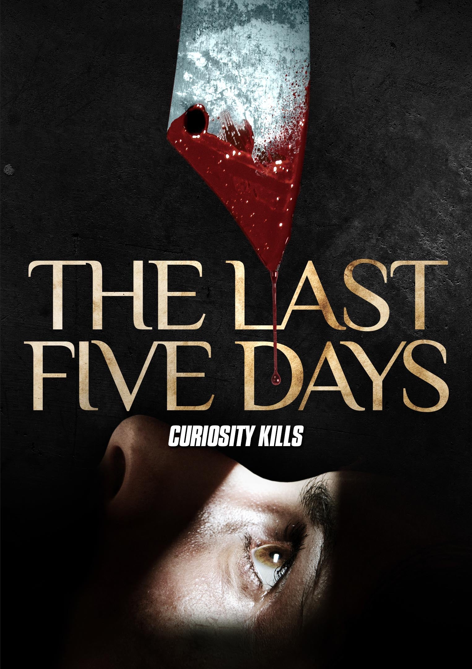 THE LAST FIVE DAYS DVD