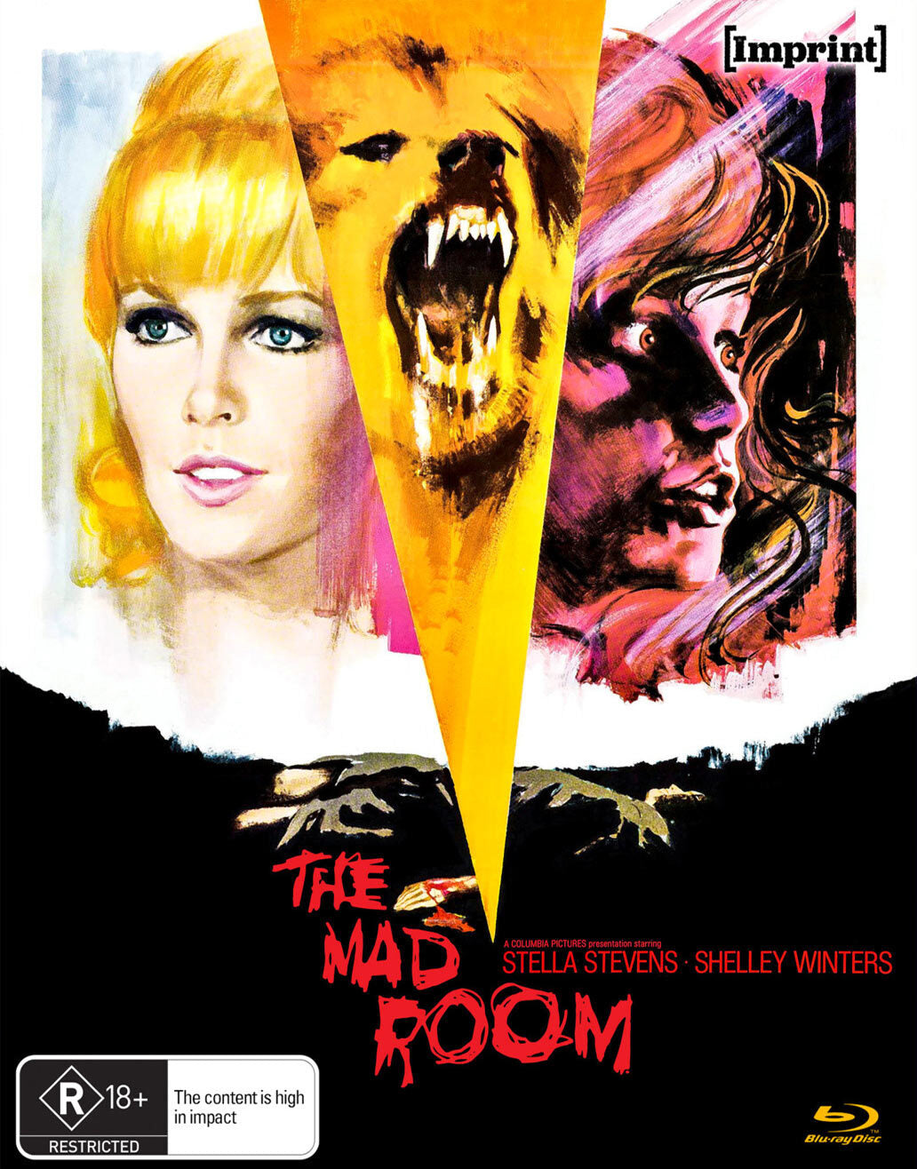 THE MAD ROOM (REGION FREE IMPORT - LIMITED EDITION) BLU-RAY