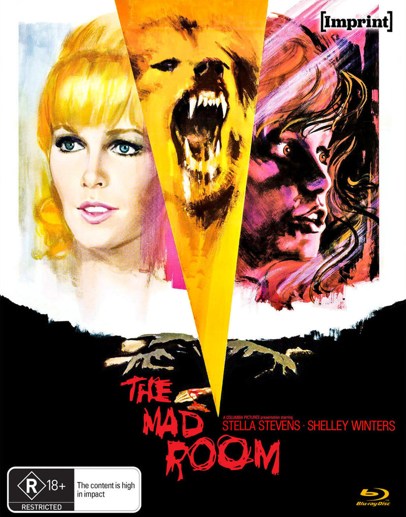 THE MAD ROOM (REGION FREE IMPORT - LIMITED EDITION) BLU-RAY [PRE-ORDER]