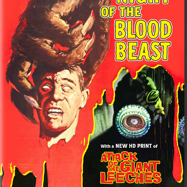 スーツ特別割引クーポン NIGHTOFTHEBLOODBEASTDVD_600x60 ミュージック