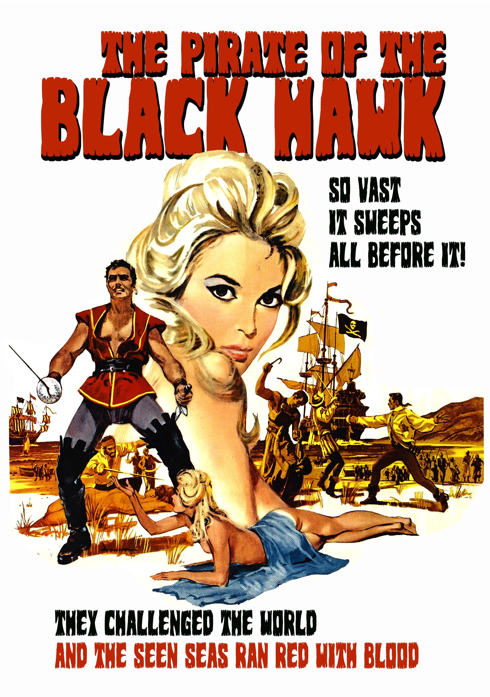 THE PIRATE OF THE BLACK HAWK DVD