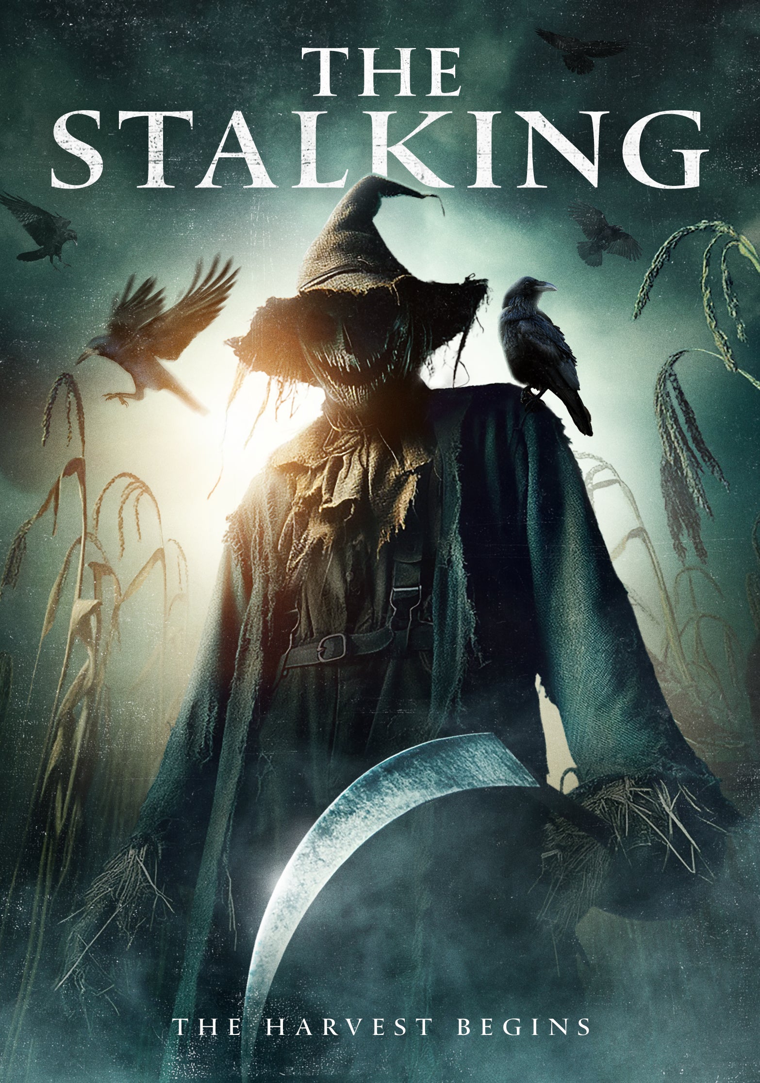 THE STALKING DVD