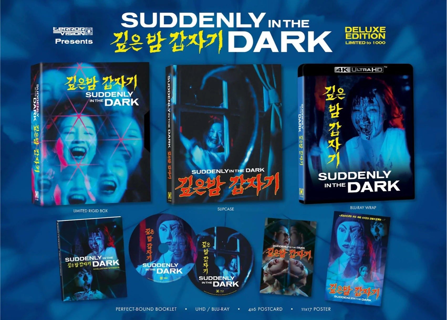 SUDDENLY IN THE DARK (LIMITED EDITION) 4K UHD/BLU-RAY [PRE-ORDER]