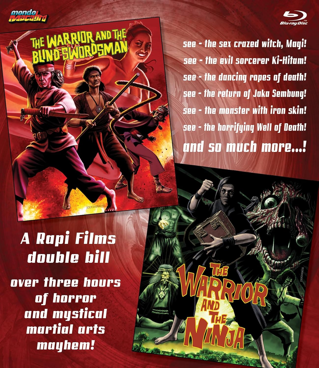 THE WARRIOR AND THE BLIND SWORDSMAN / THE WARRIOR AND THE NINJA BLU-RAY