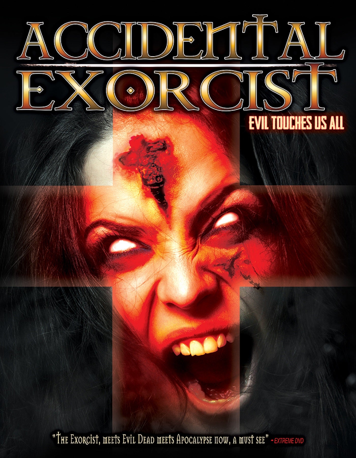 ACCIDENTAL EXORCIST DVD