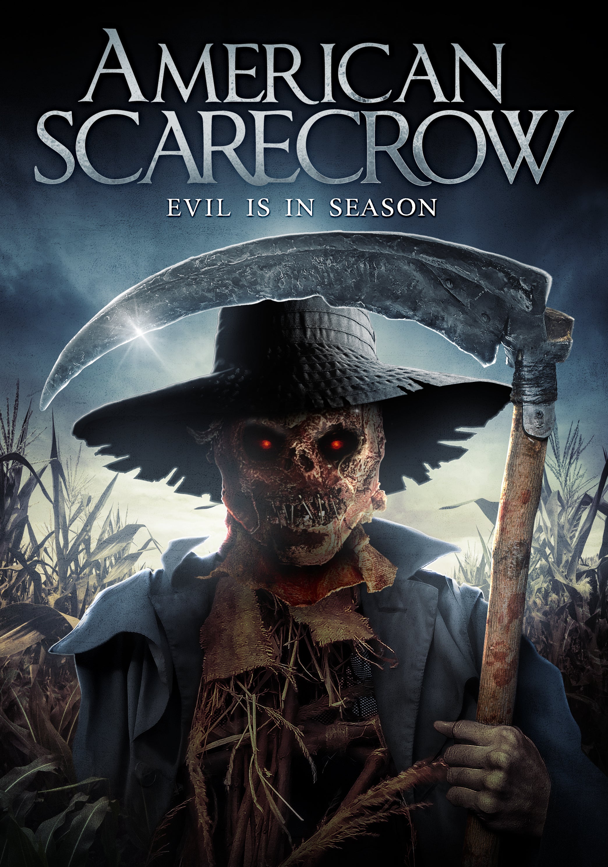 AMERICAN SCARECROW DVD