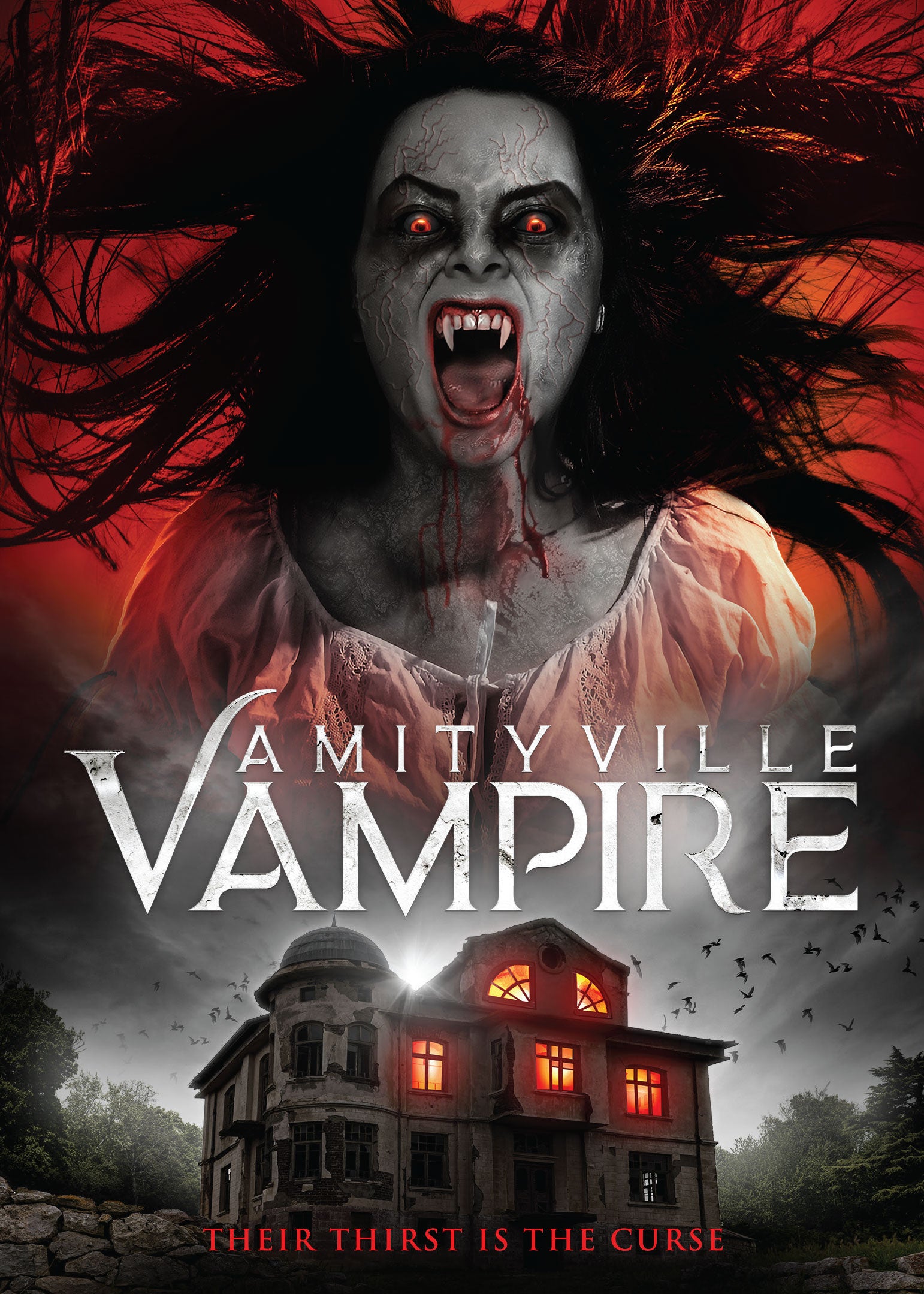 AMITYVILLE VAMPIRE DVD