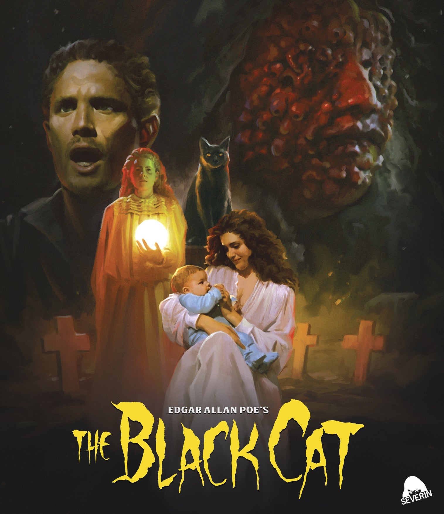 The Black Cat Dvd