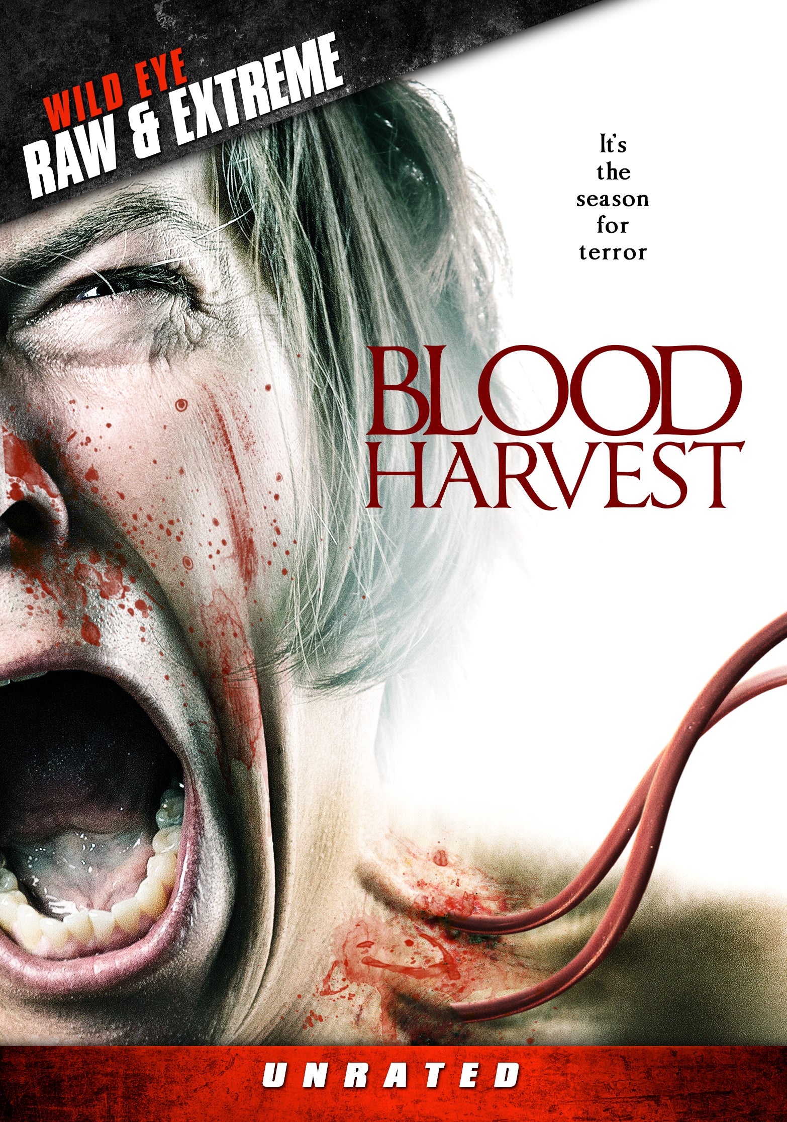 BLOOD HARVEST DVD