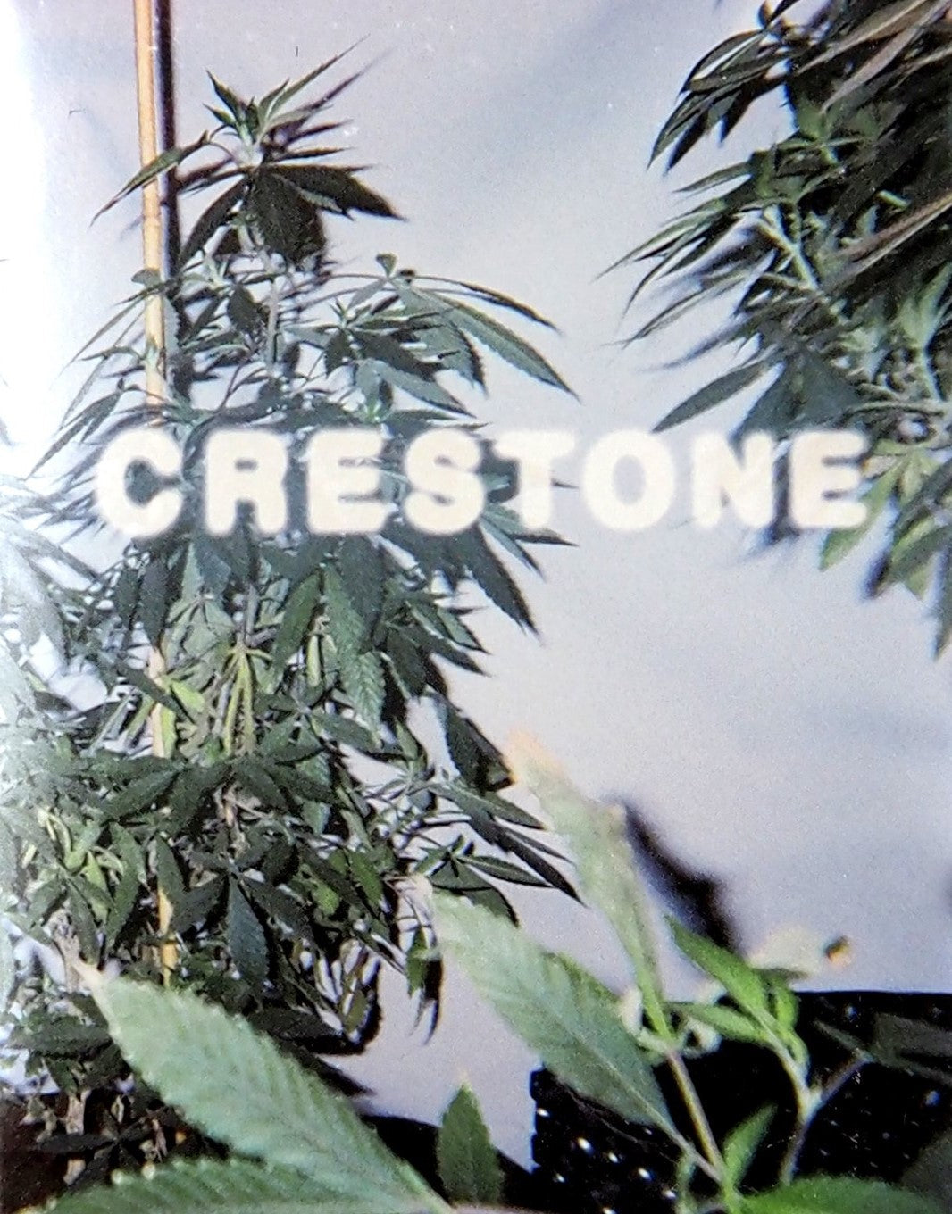 Crestone (Limited Edition) Blu-Ray Blu-Ray