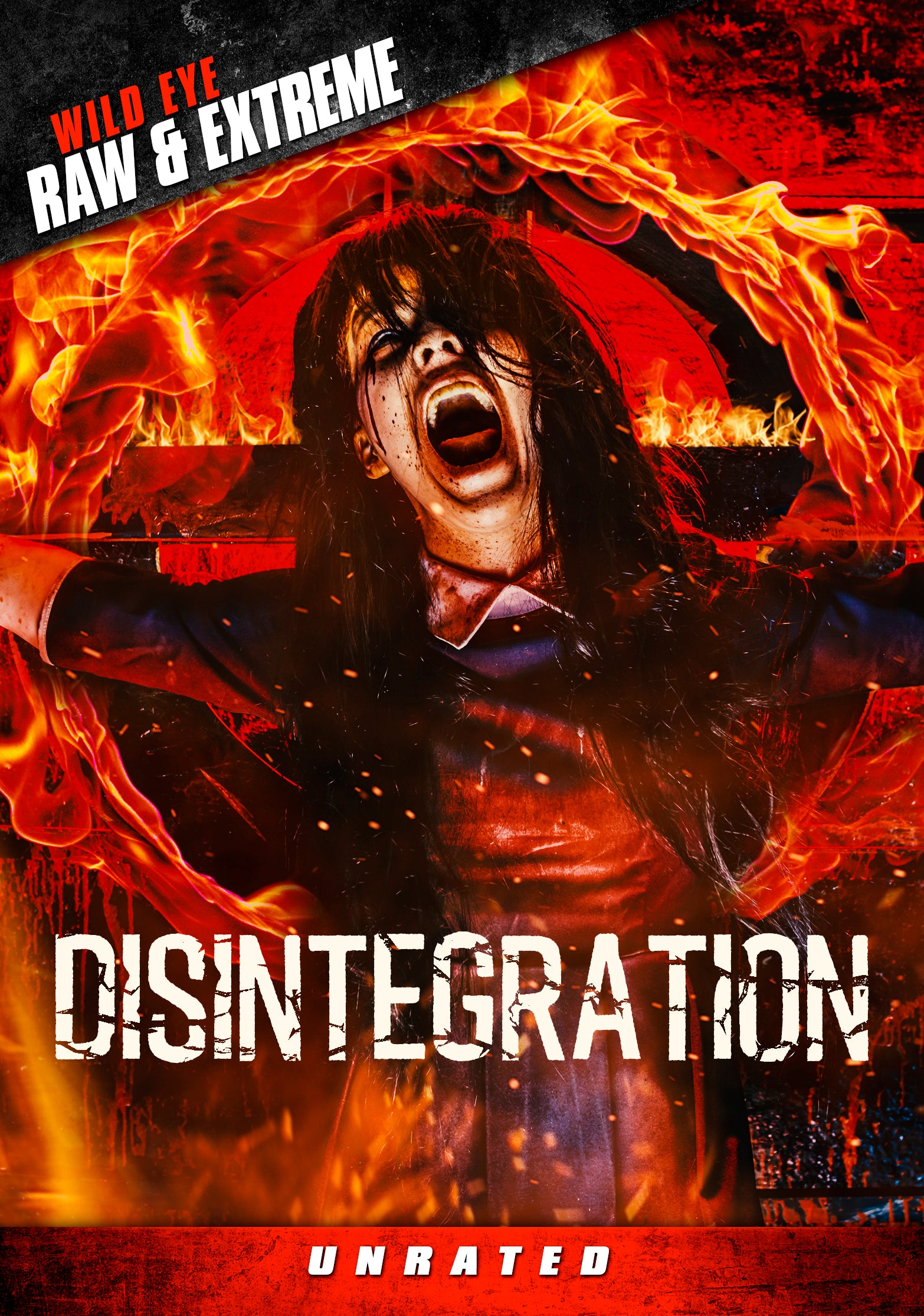 DISINTEGRATION DVD
