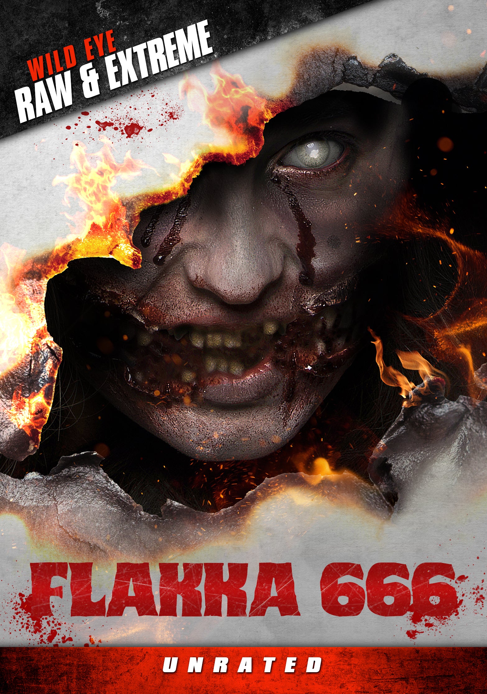 FLAKKA 666 DVD