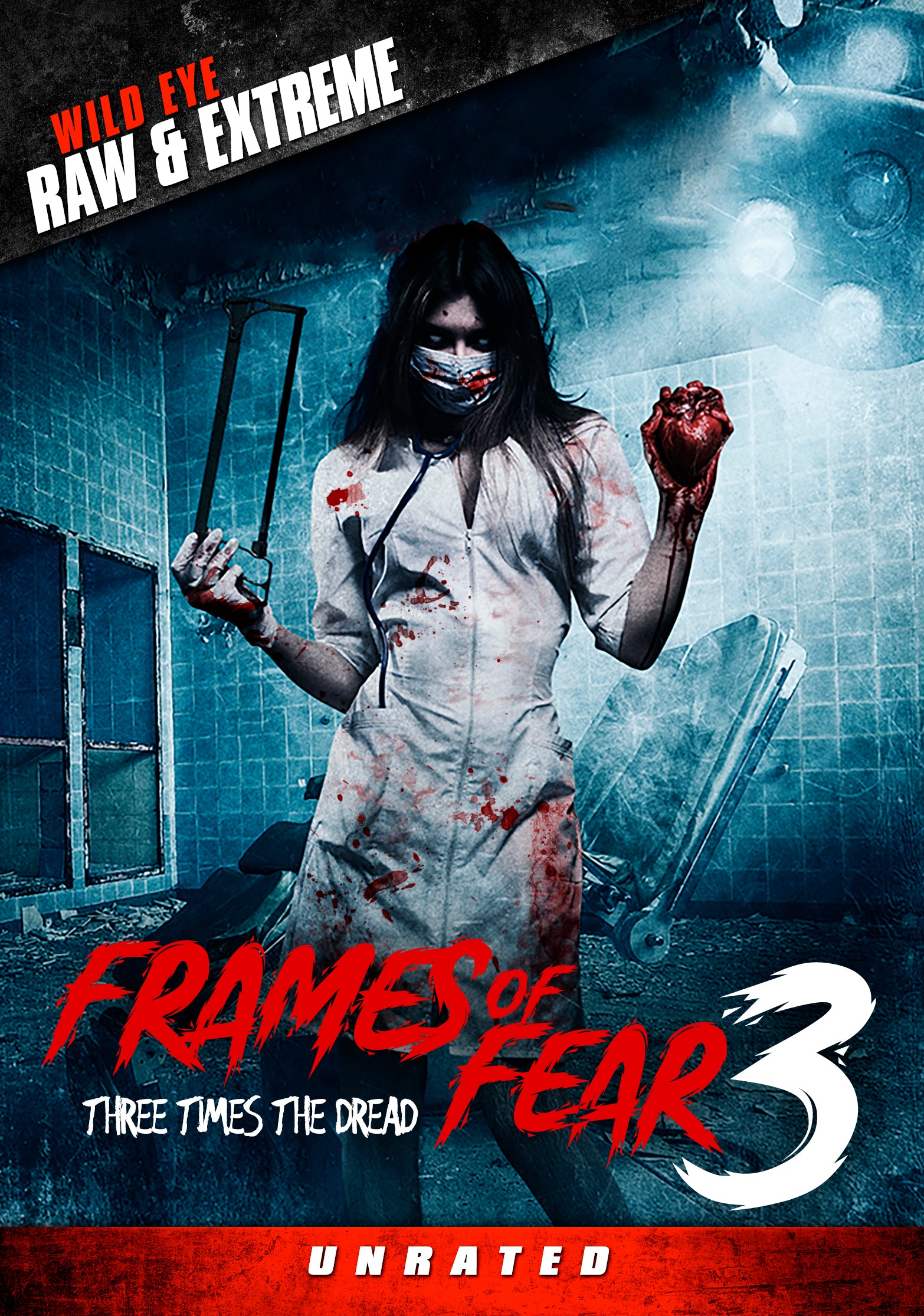 FRAMES OF FEAR 3 DVD