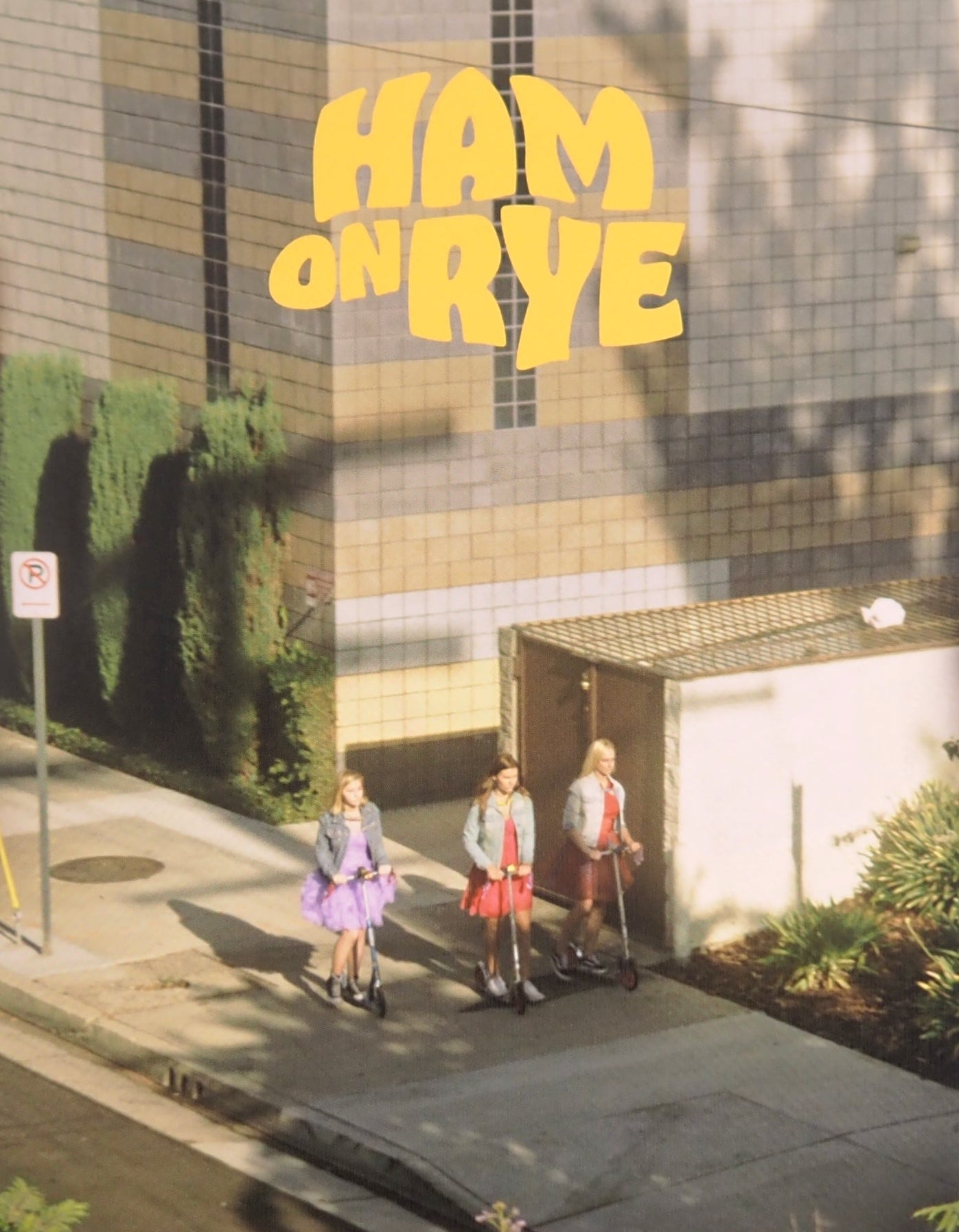 HAM ON RYE (LIMITED EDITION) BLU-RAY