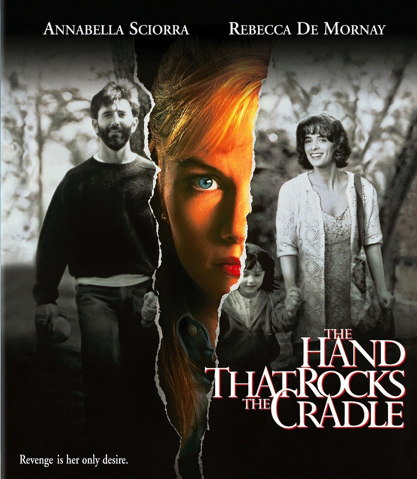 THE HAND THAT ROCKS THE CRADLE BLU-RAY