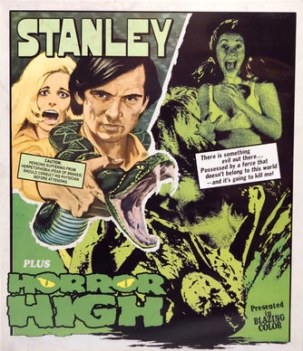 HORROR HIGH / STANLEY (LIMITED EDITION) BLU-RAY