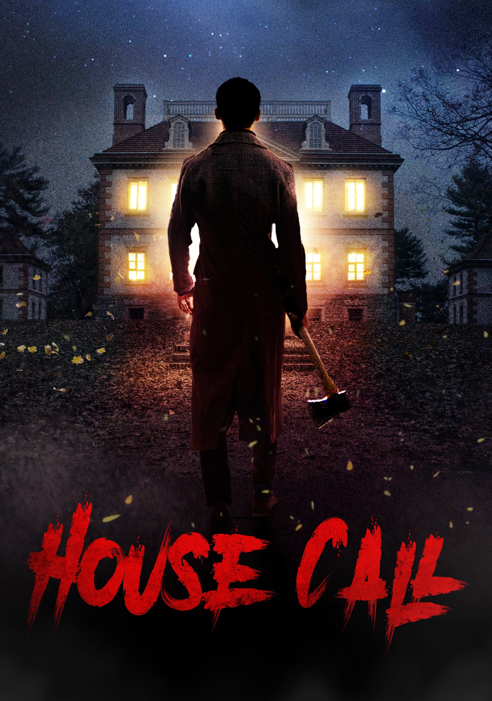 HOUSE CALL DVD